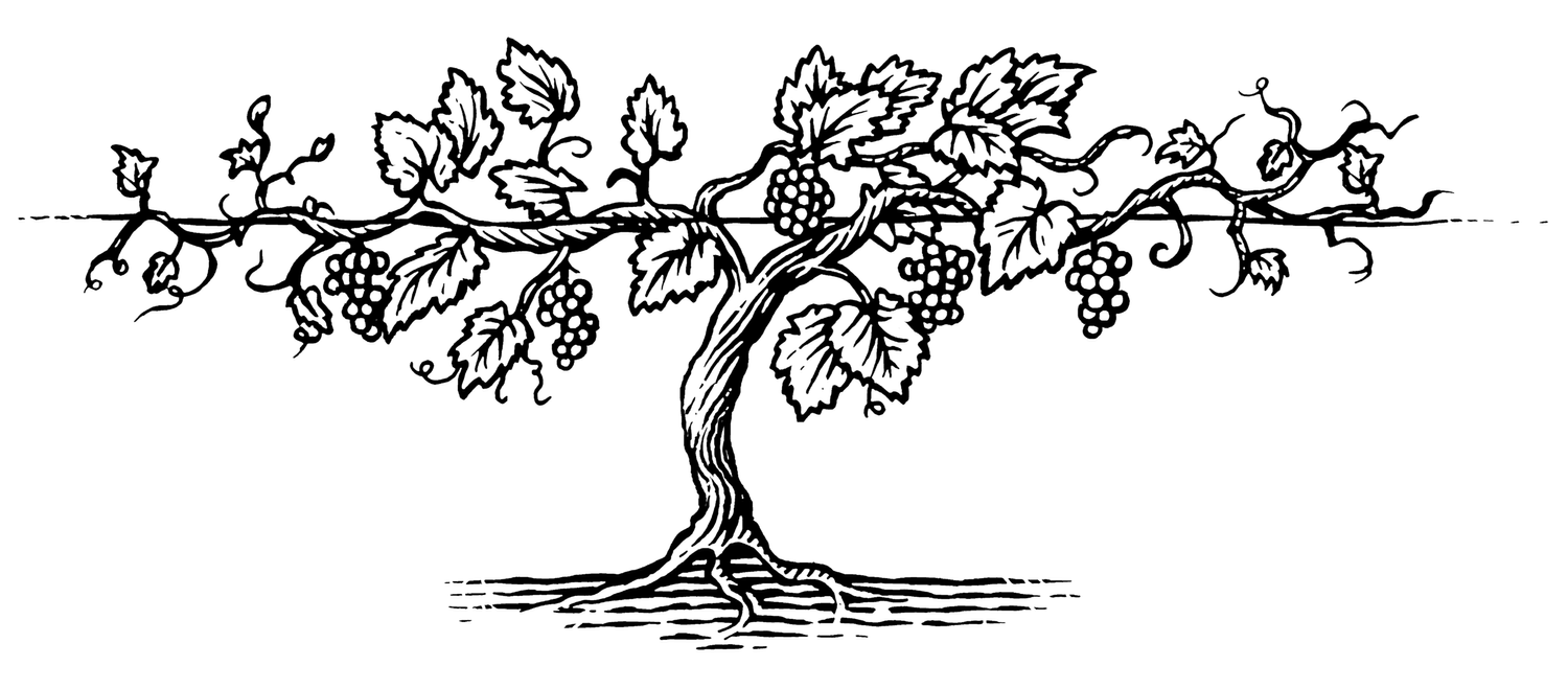 Jacob's Well Vineyard