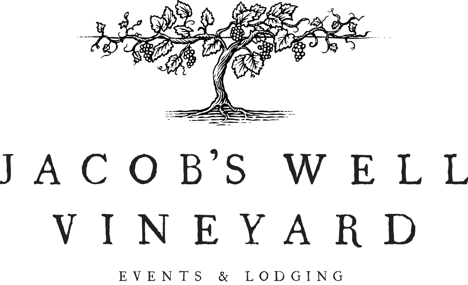 Jacob's Well Vineyard