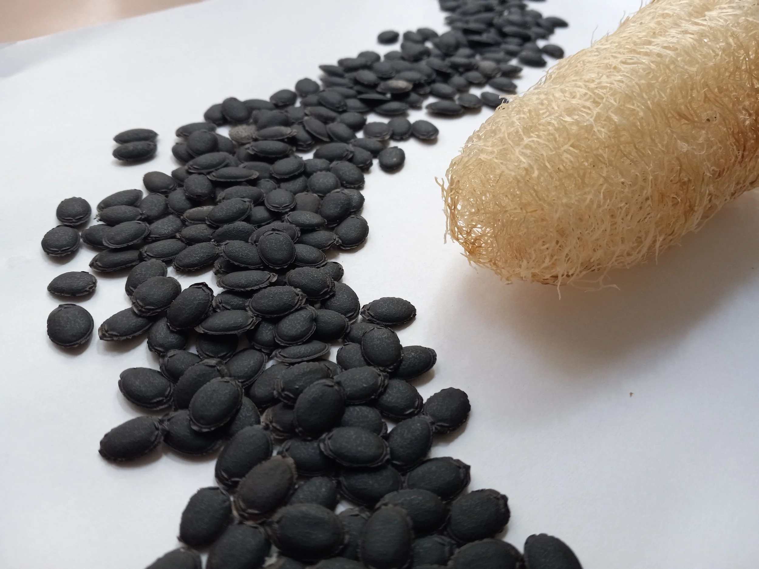 Is it luffa or loofah? 