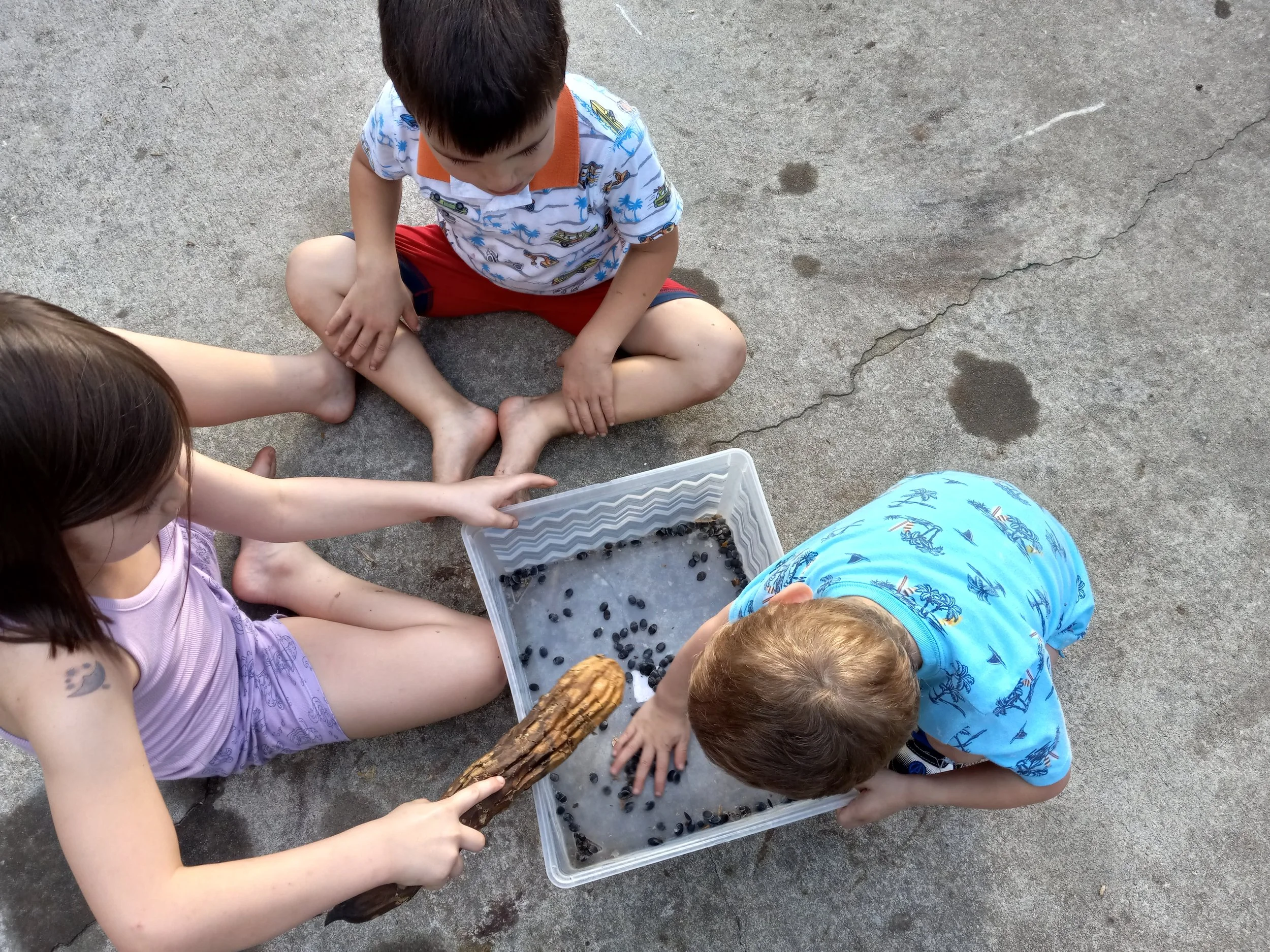 Luffa seed harvest time is family time. No lack of garden helpers here! 