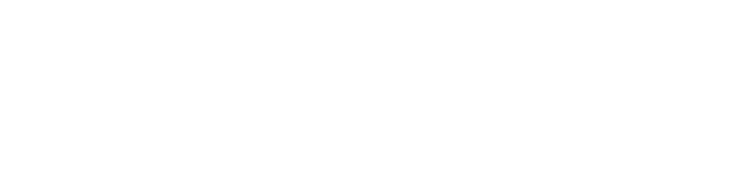 Cleap logo principal blanc.png