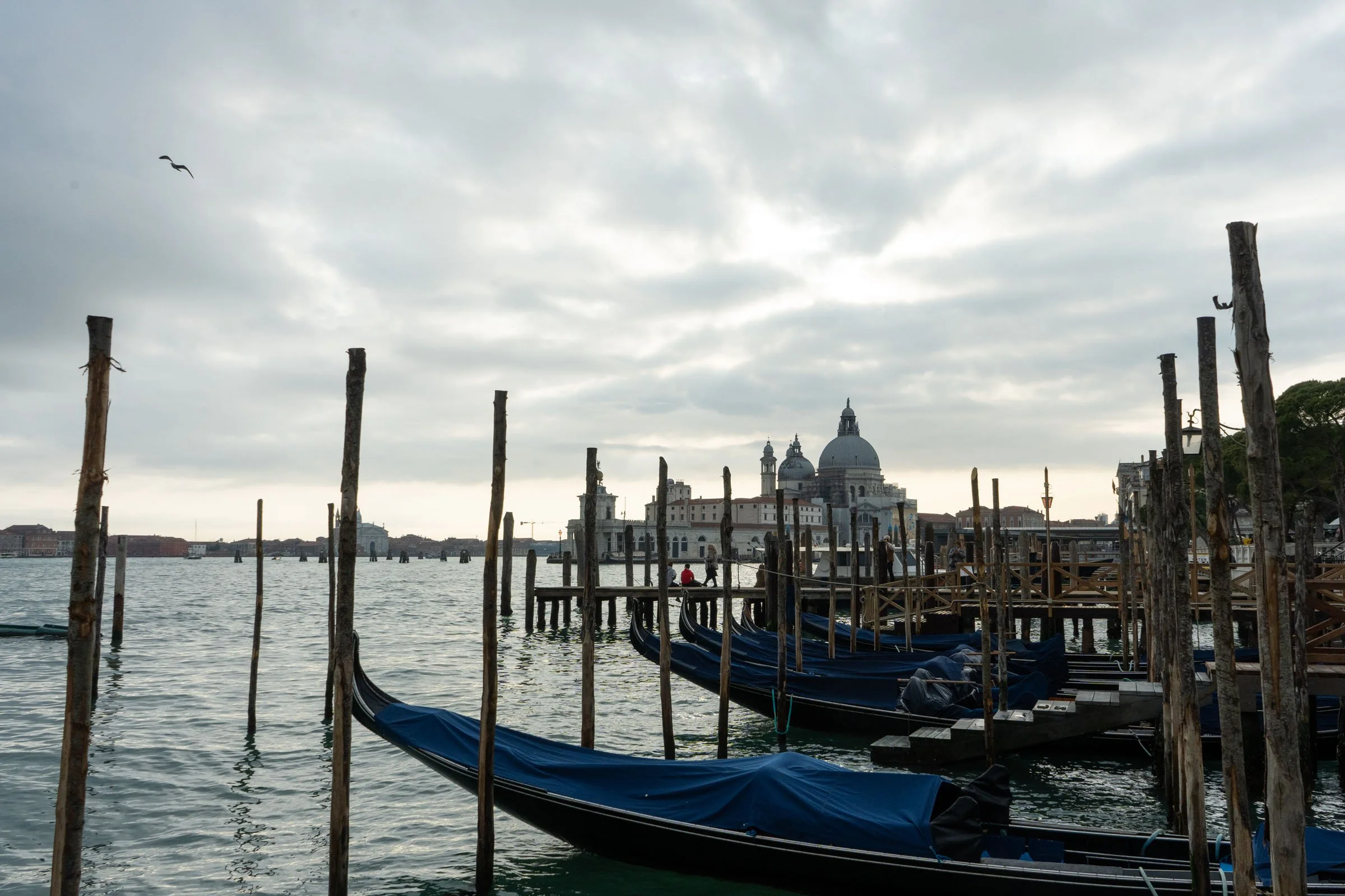 Boats, Venice Italy, 2022