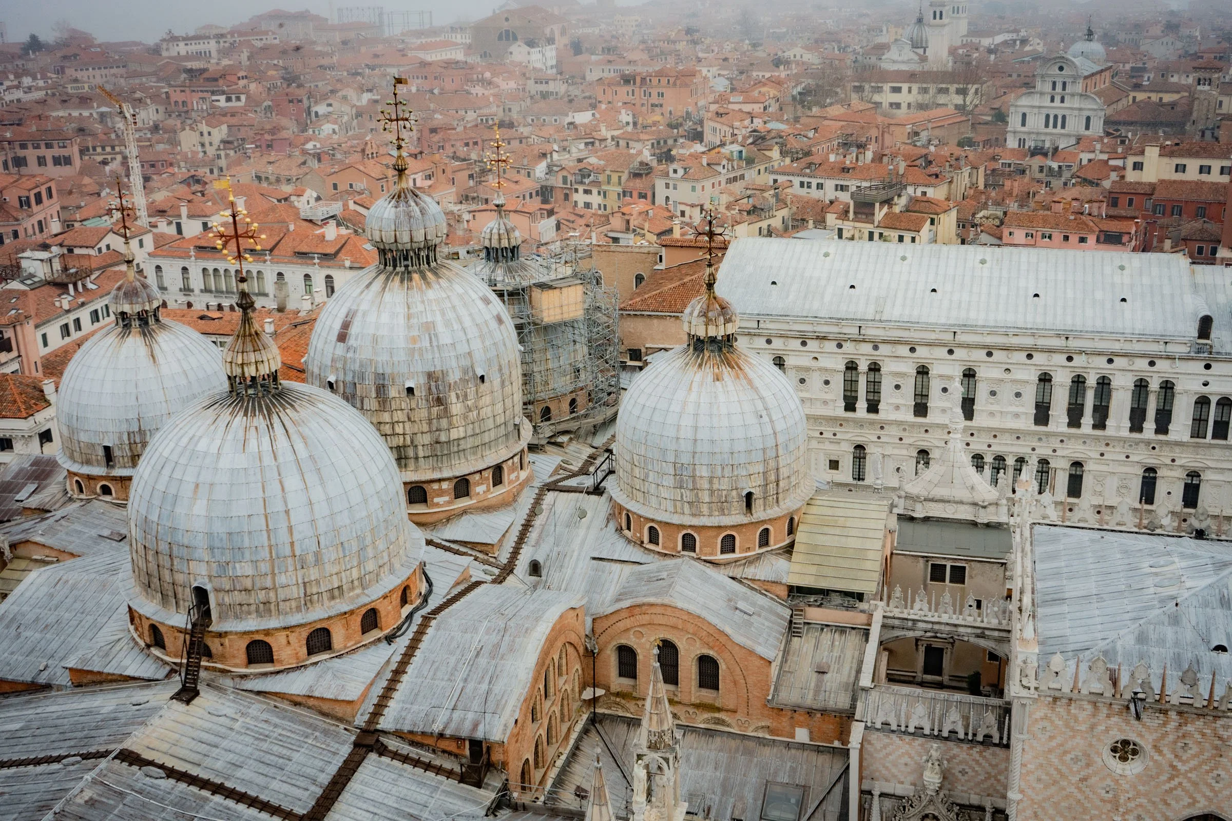 Vencie D2 (7 of 14).jpg