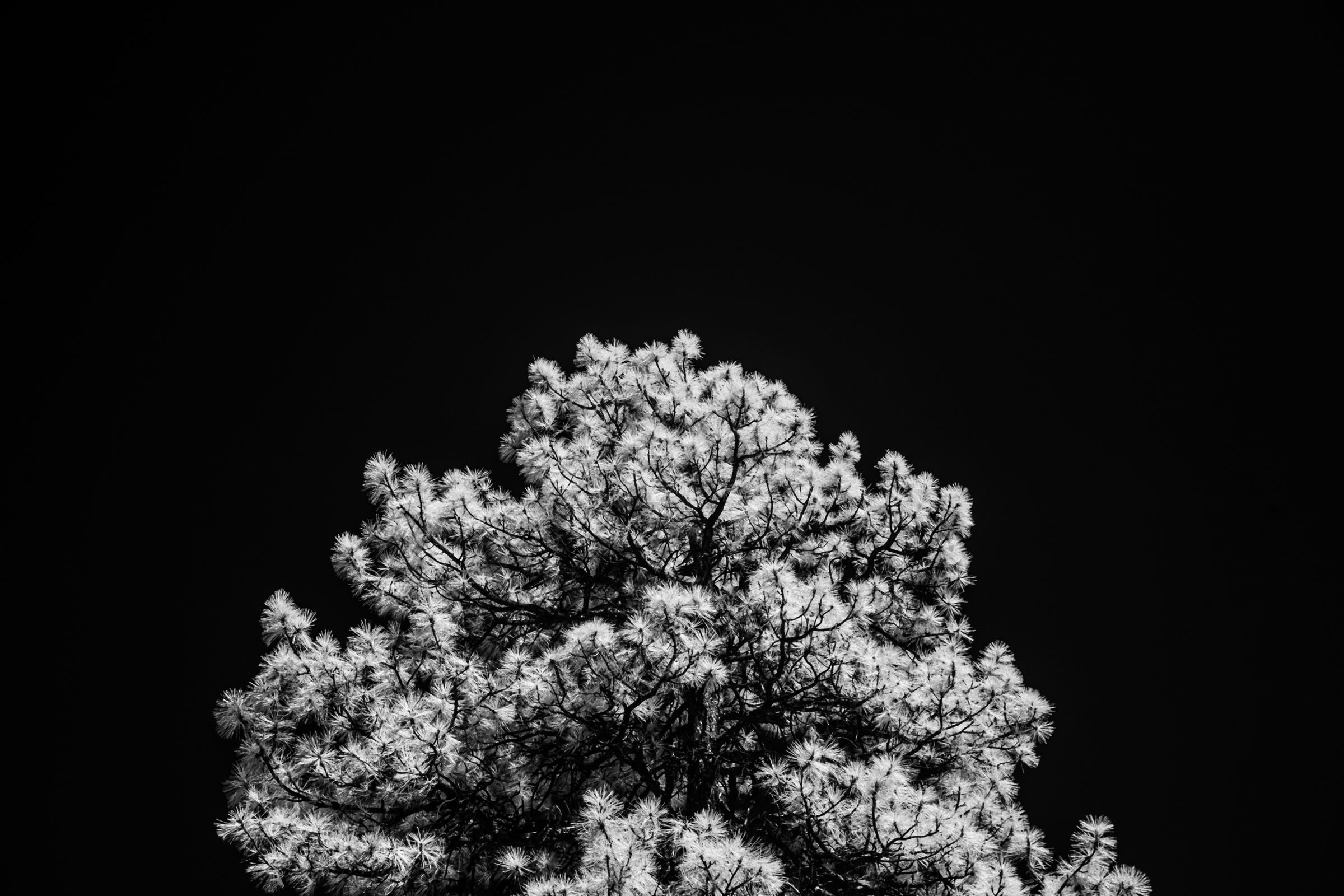 Day 3 (5 of 15).jpg