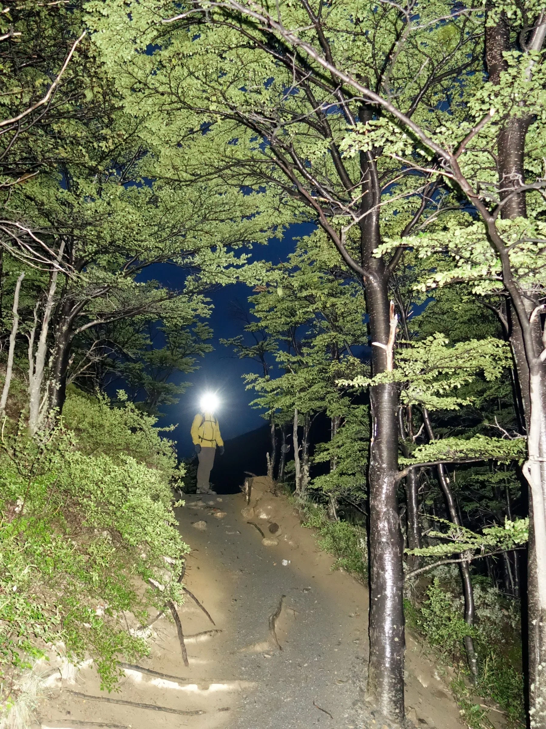 SLX (54 of 68).jpg