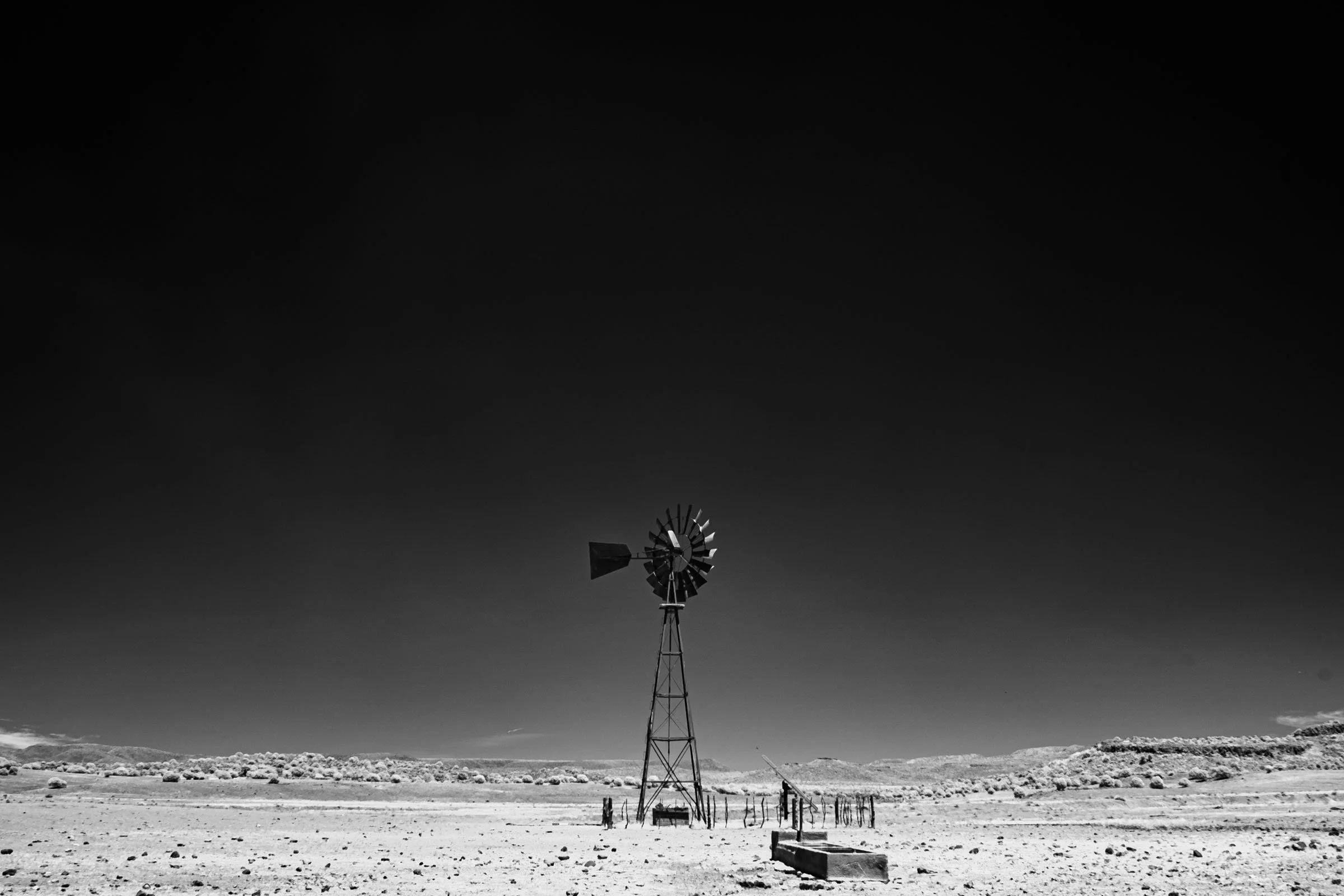 Day 4 (2 of 116).jpg