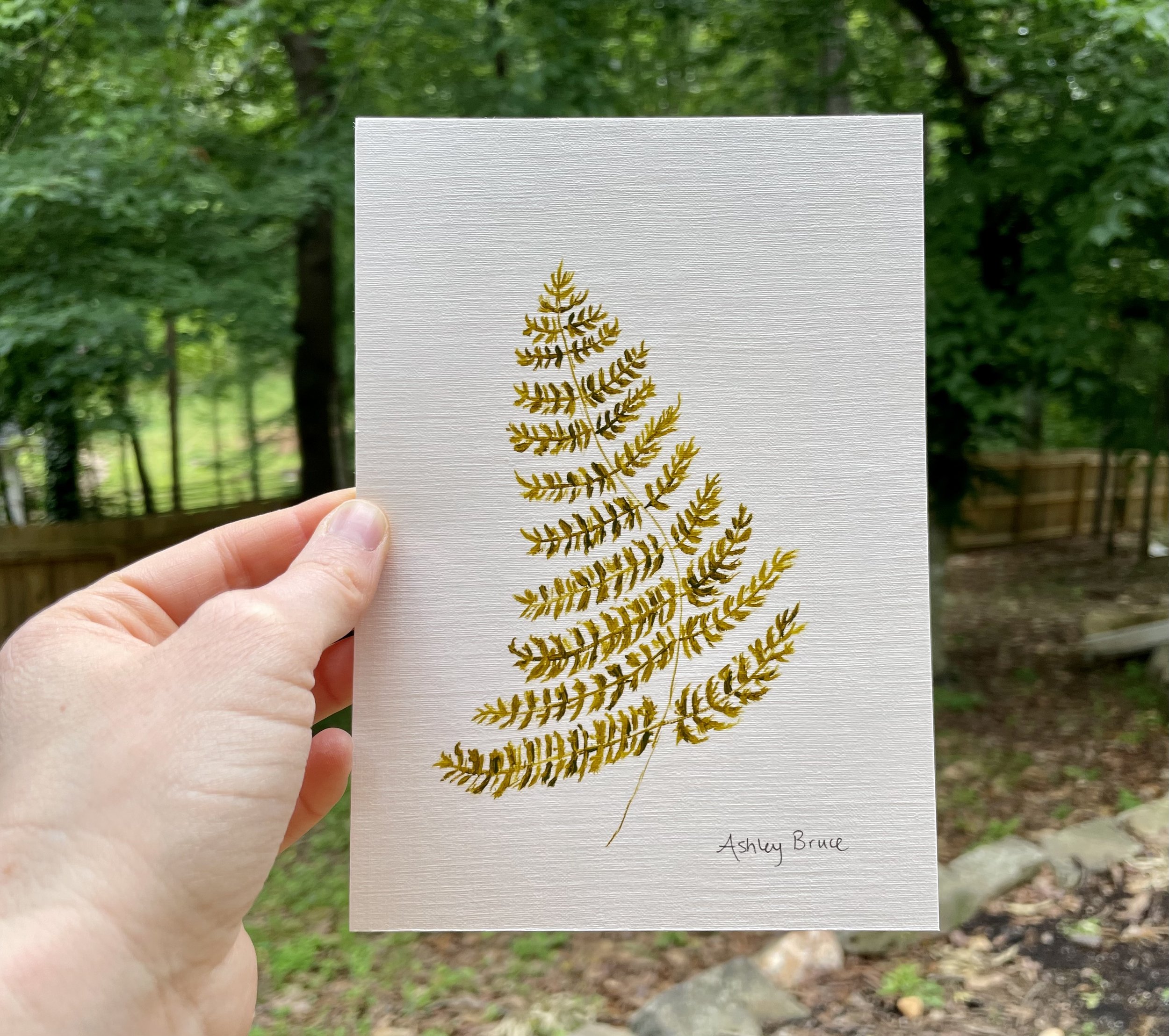 "Trio of Ferns no. 3", oil on paper, 5x7"
