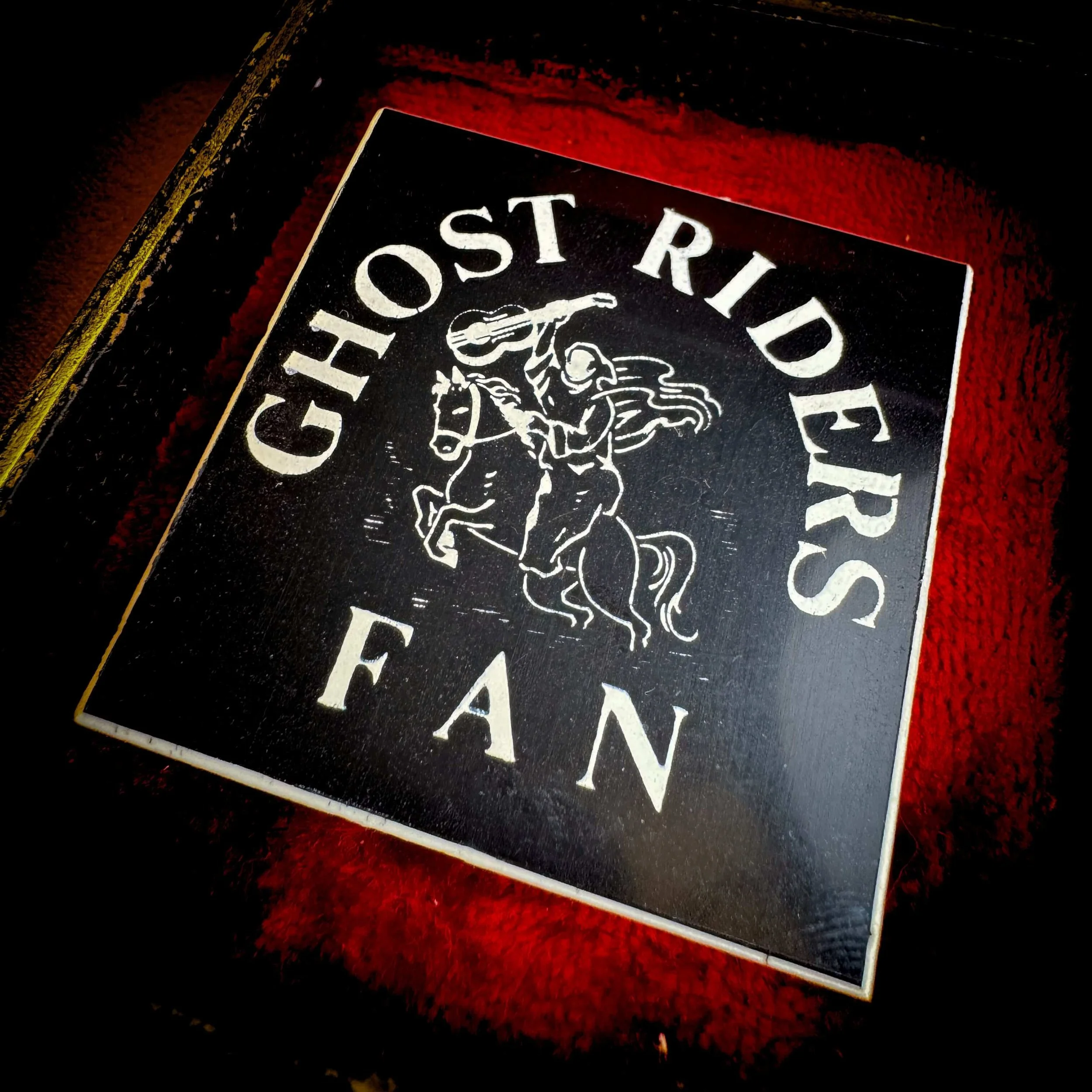 Ghost Riders Fan Pin 6.jpg