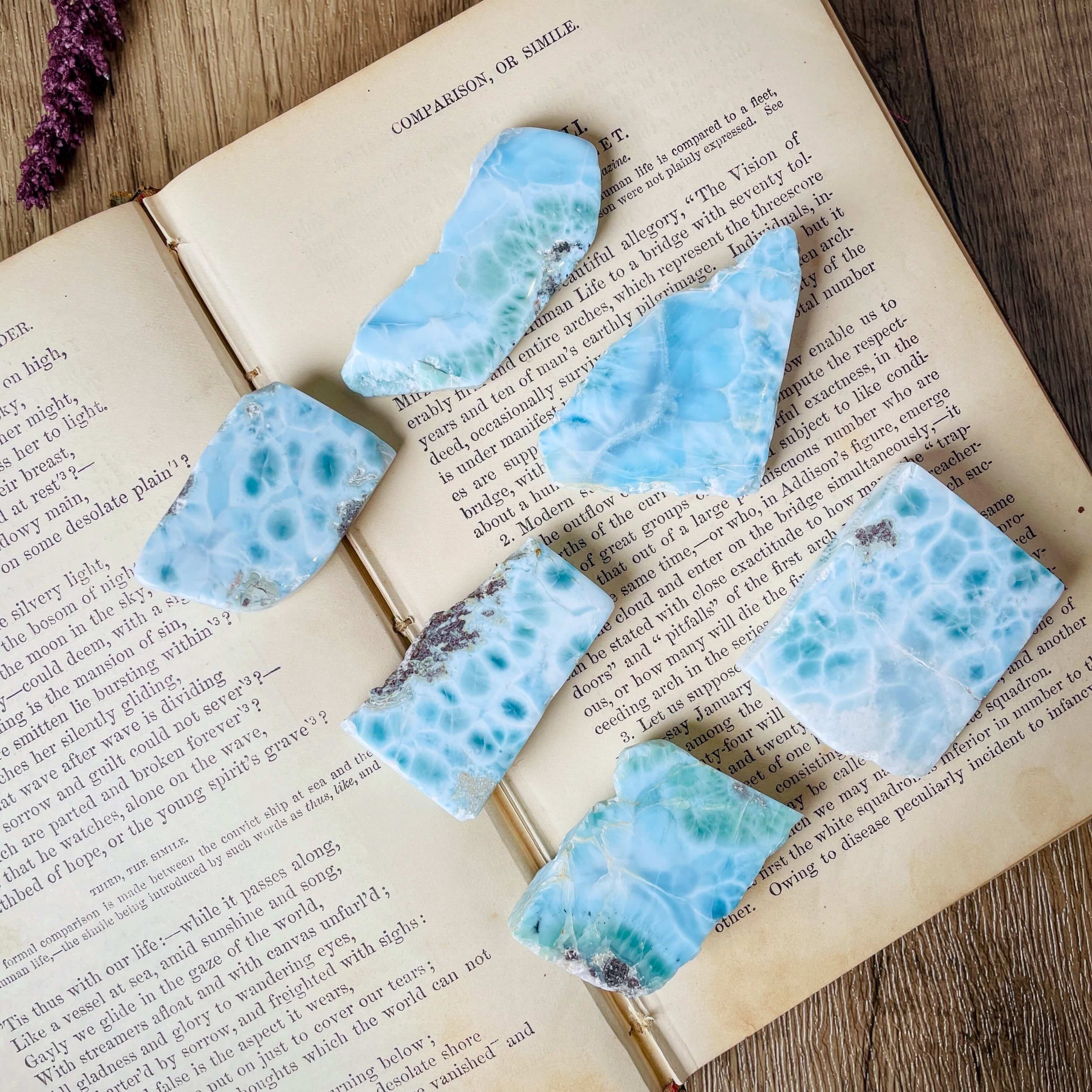 Larimar Slice 11(1).jpg