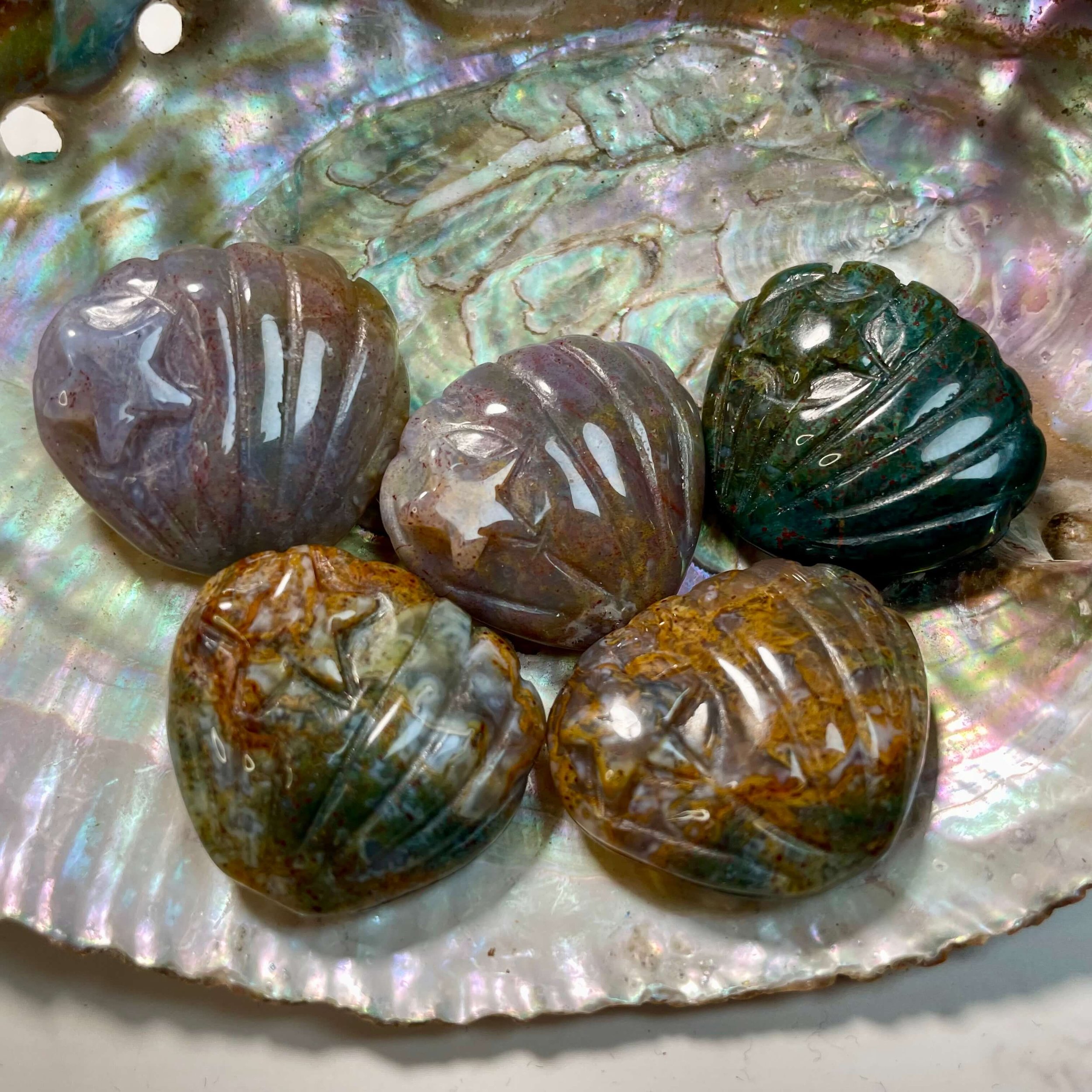 Ocean Jasper Shell 3(1).jpeg