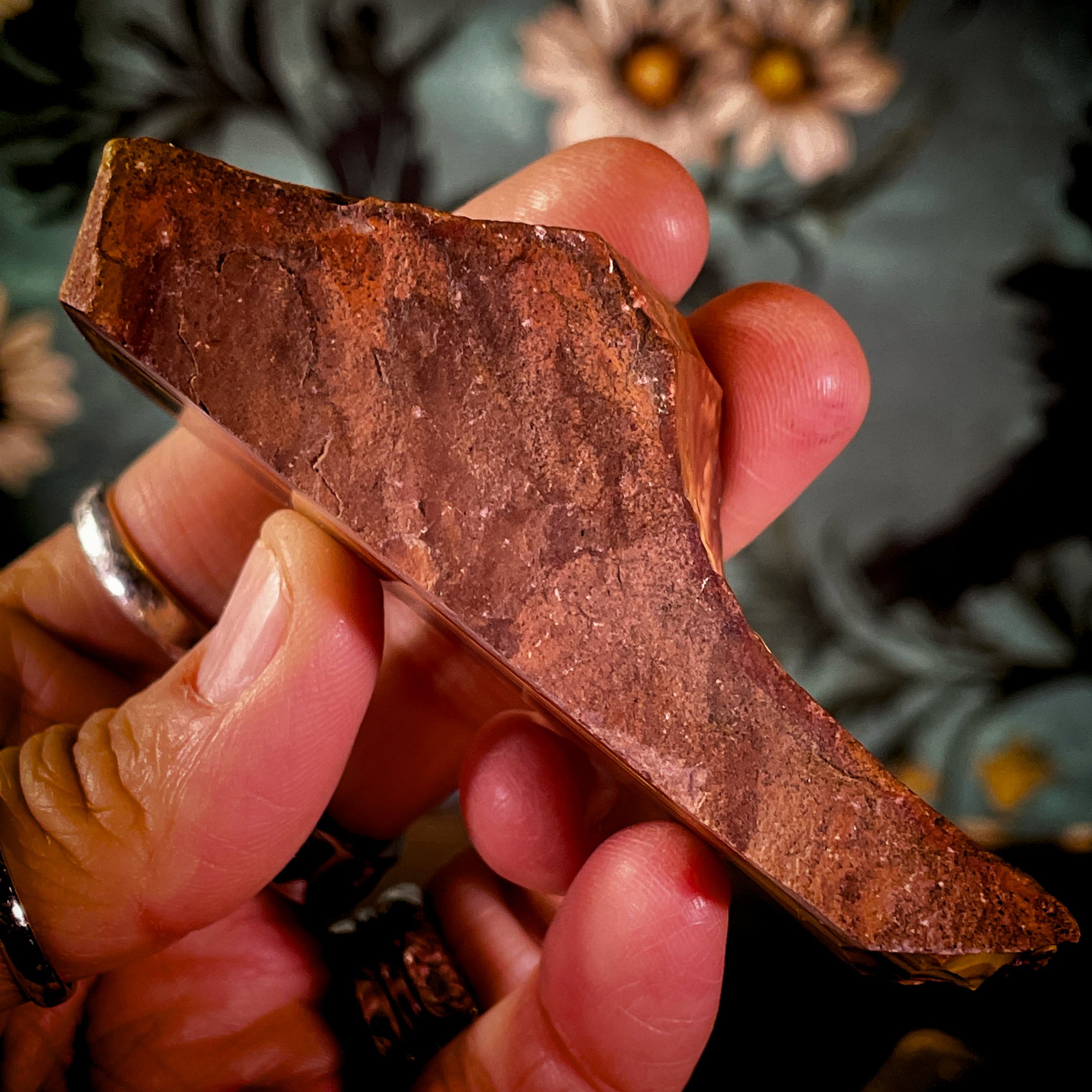 Owyhee Jasper freeform 2.jpg