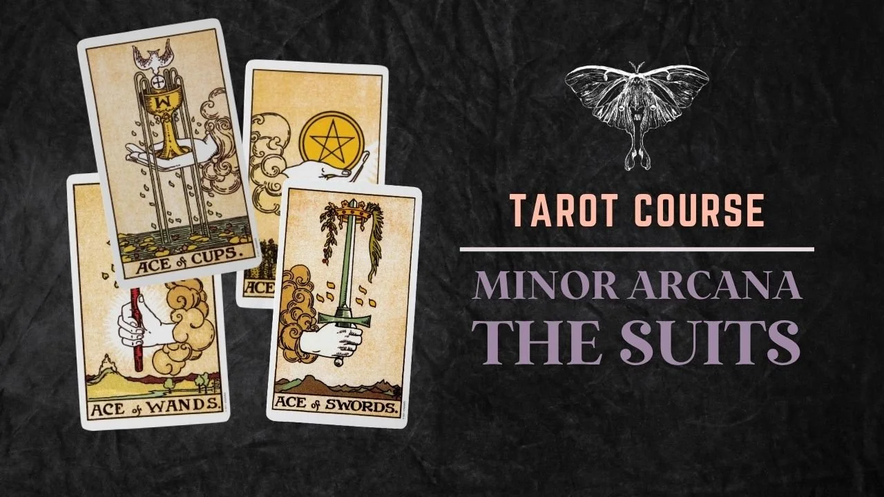 Minor Arcana The Suits