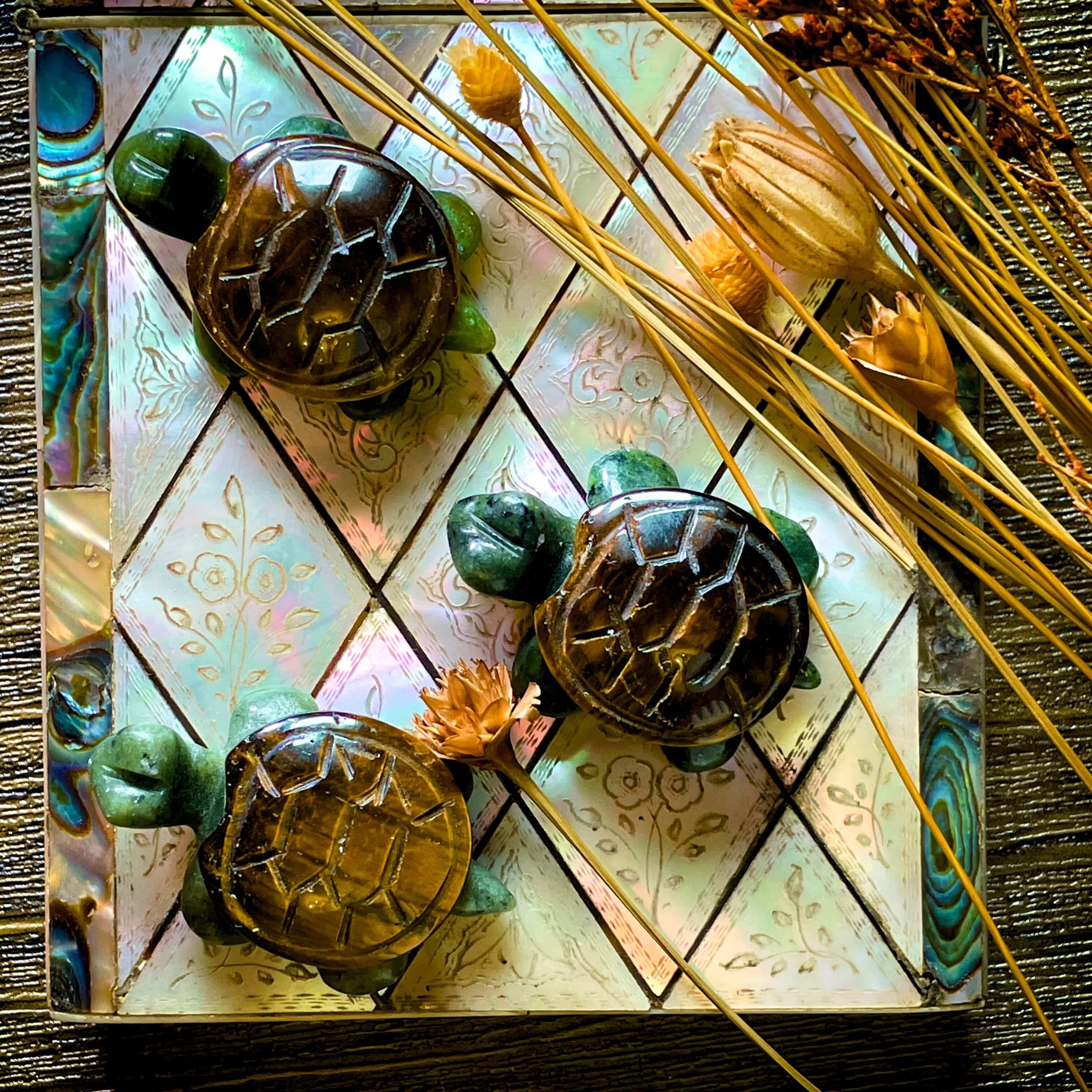 Tiger Eye Turtle 5.jpg