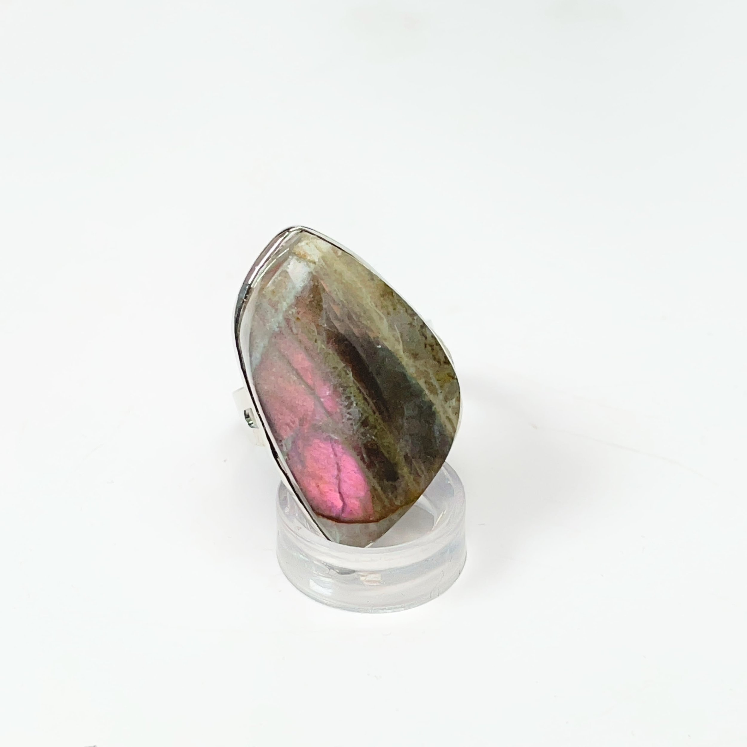 Lab Ring Adjustable B.jpg