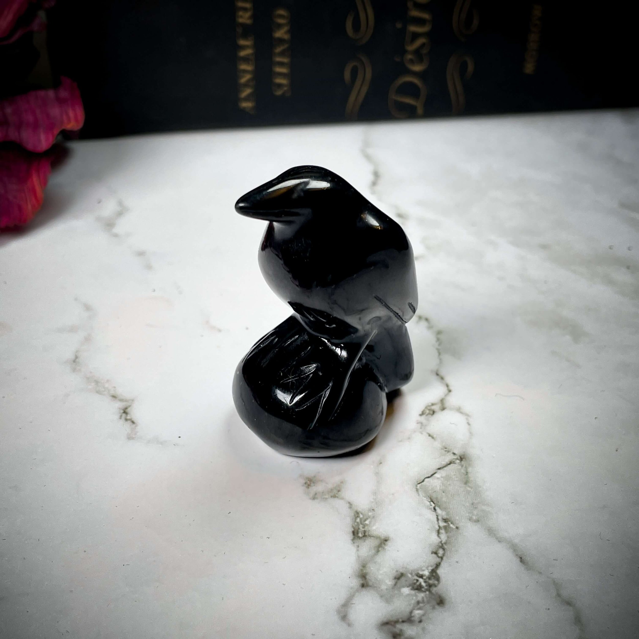 Back Onyx Raven 2(1).jpg