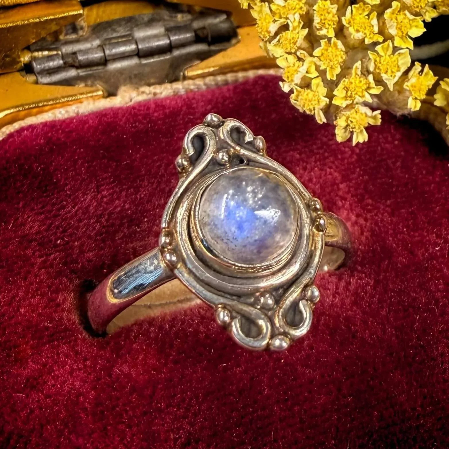 Moonstone+Round+Dainty+Size+8-1.jpg
