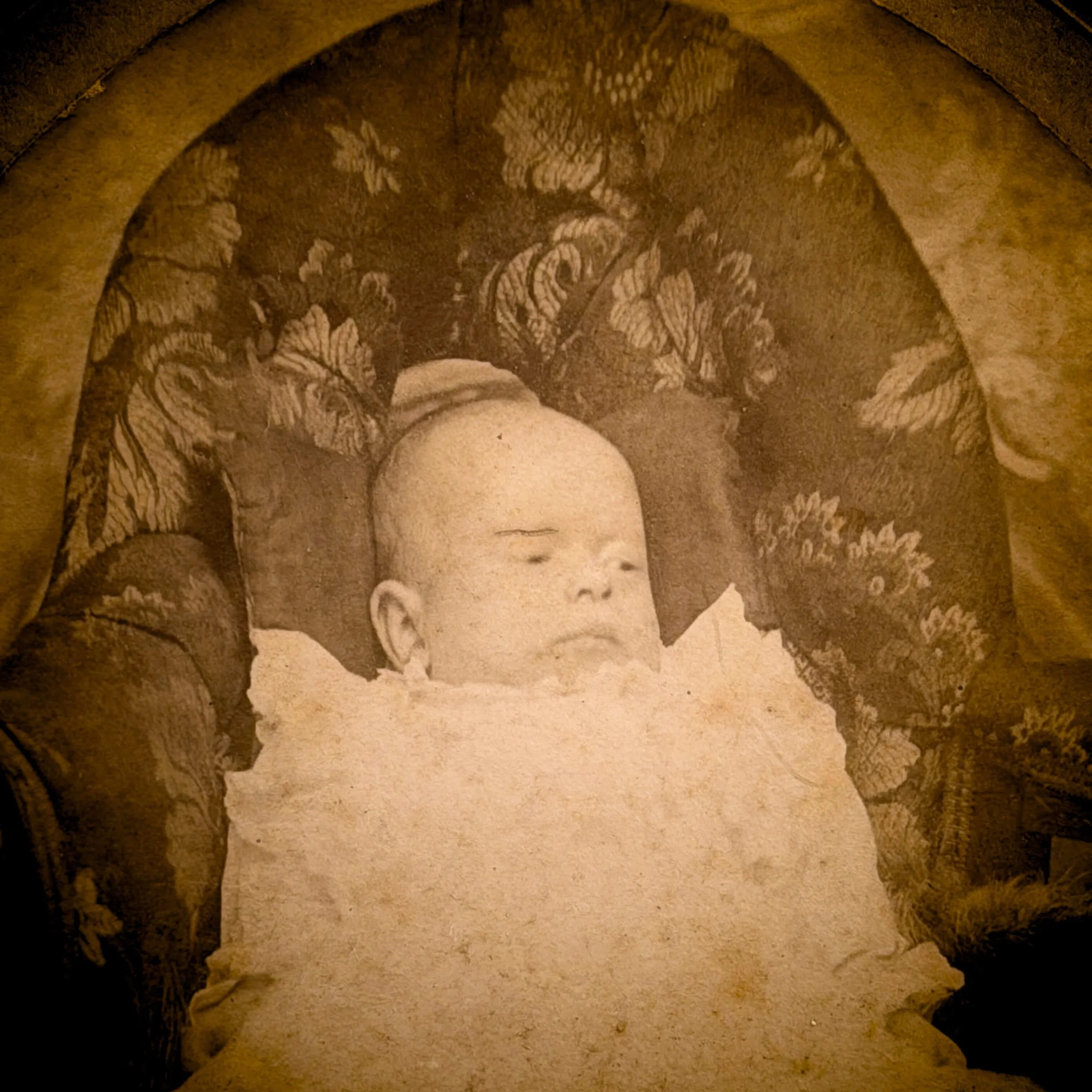 Adopt the One Eyebrow Baby Antique Cabinet Portrait