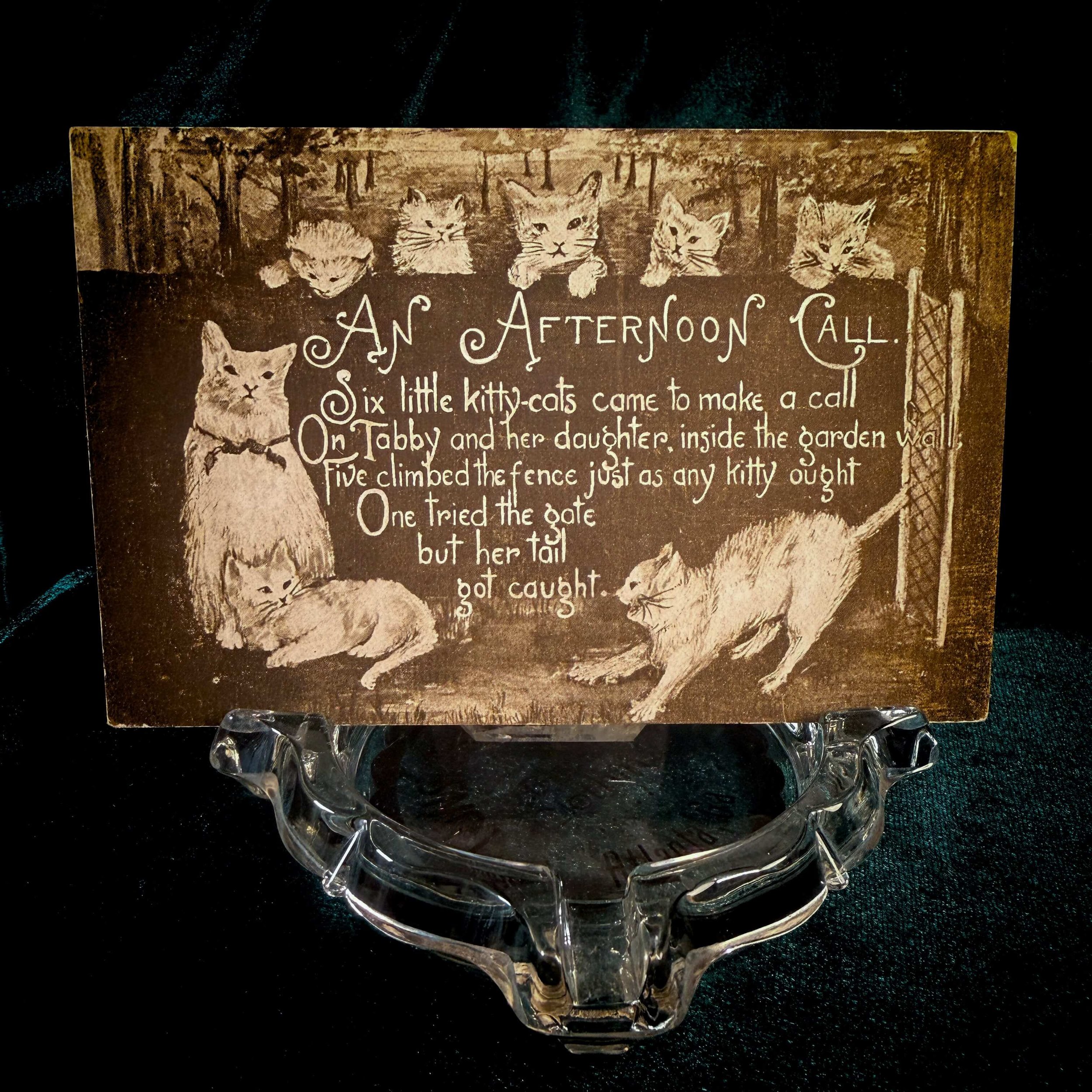 Postcard Cats - 2.jpg