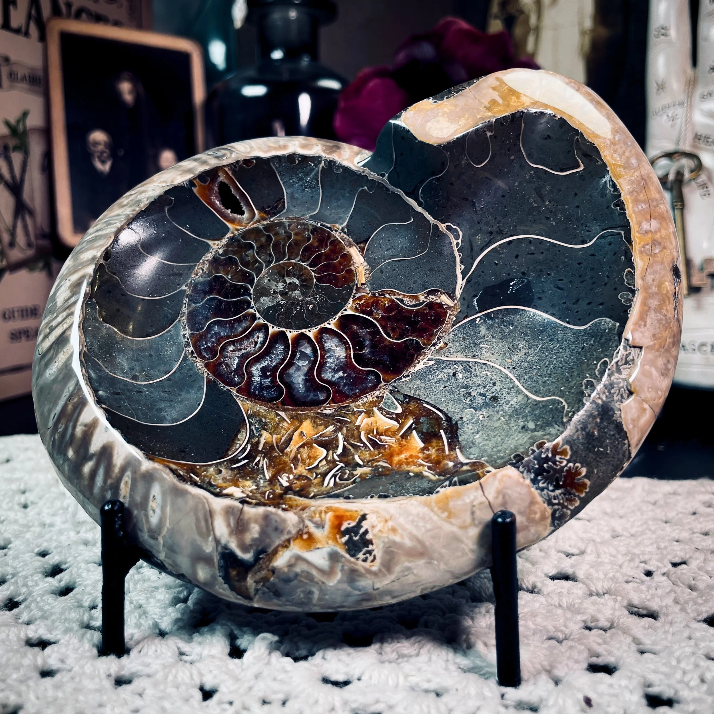 Ammonite Bowl 2.jpg