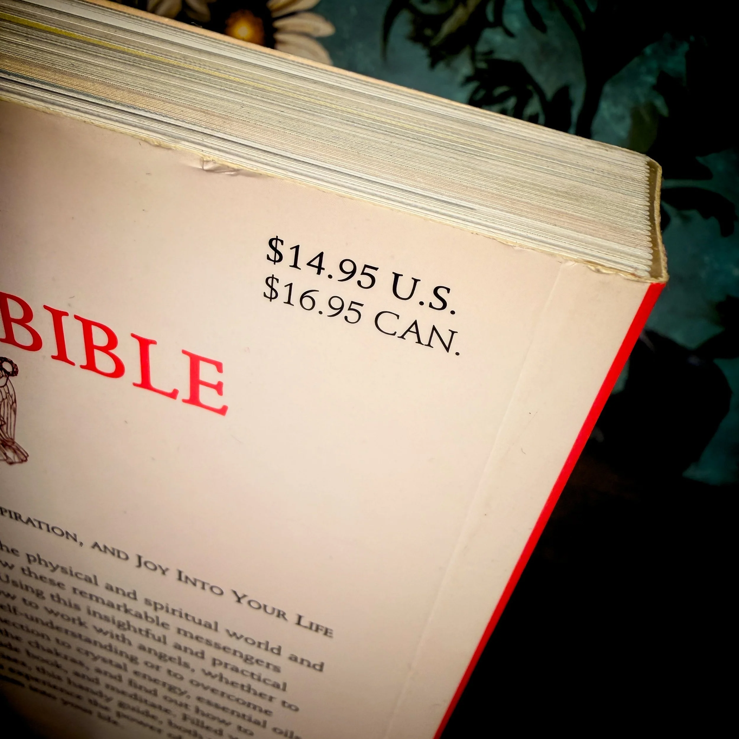 The Angel Bible (The definitive guide to Angel wisdom)12.jpg