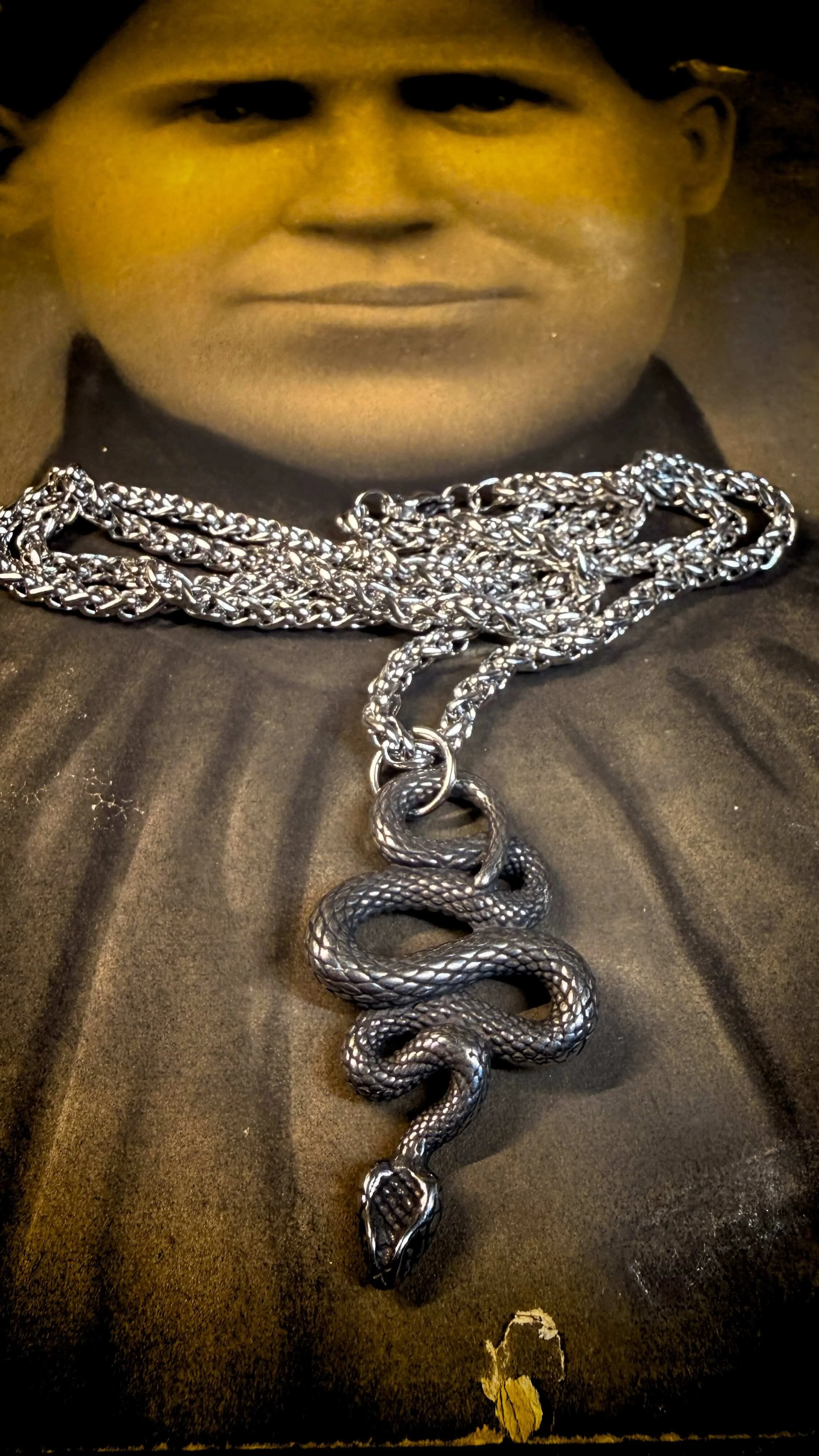 Silver Snake Necklace 2.jpg