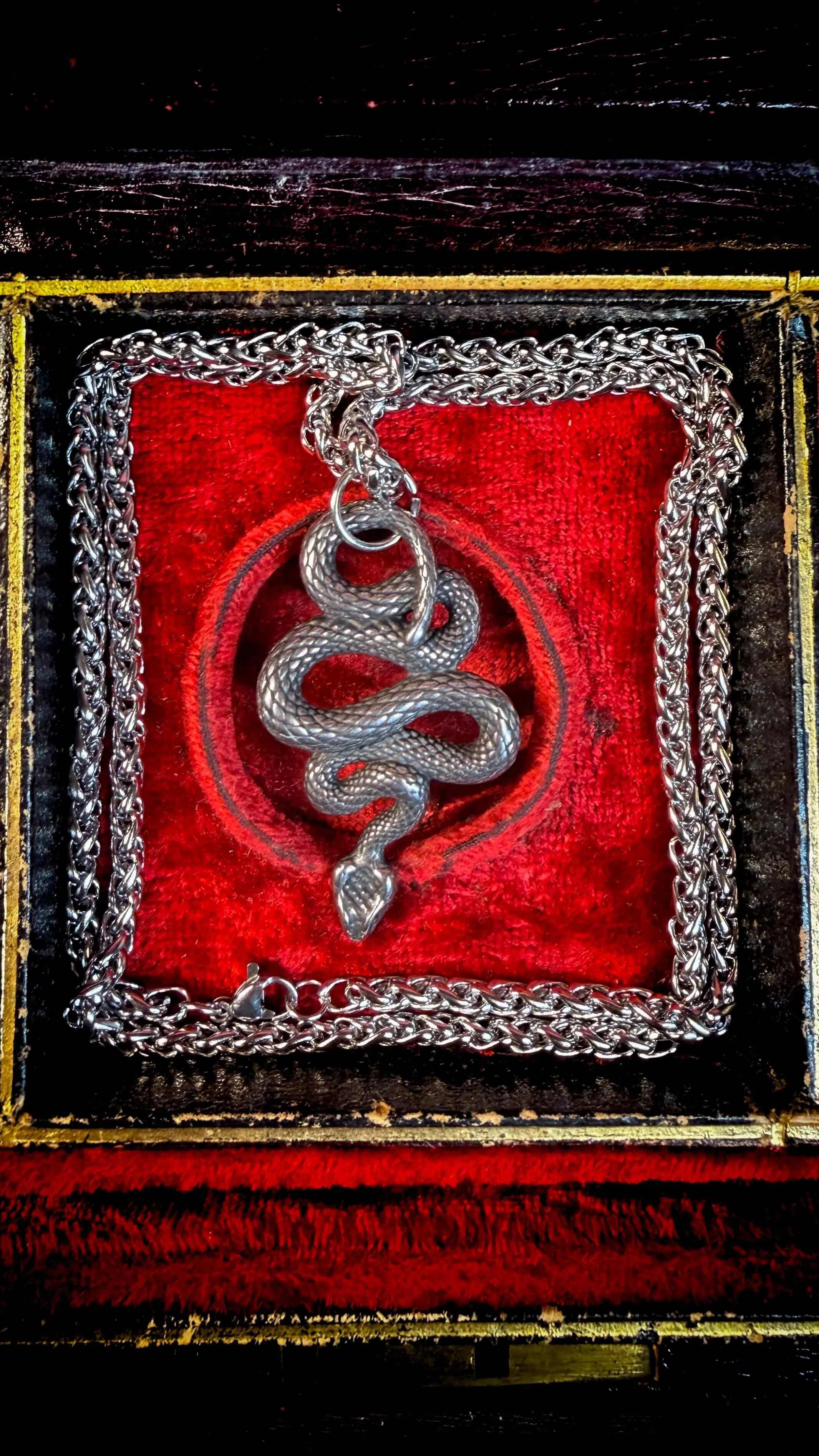 Silver Snake Necklace 14.jpg