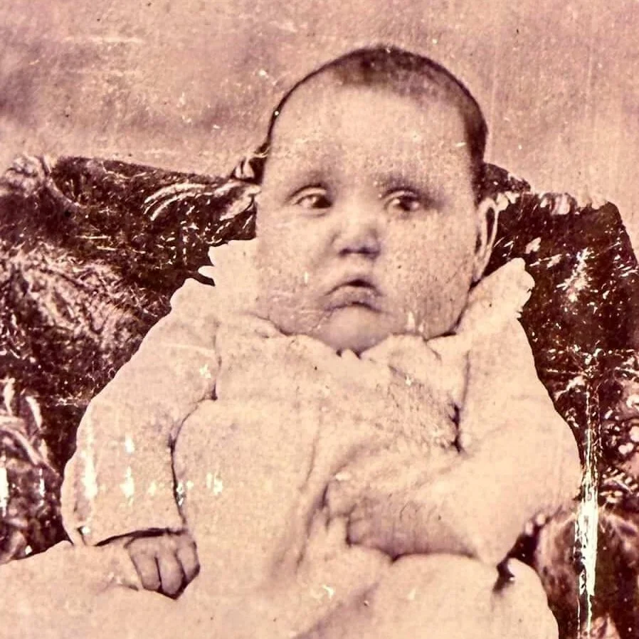Adopt the Trust Fund Baby Antique CDV Portrait