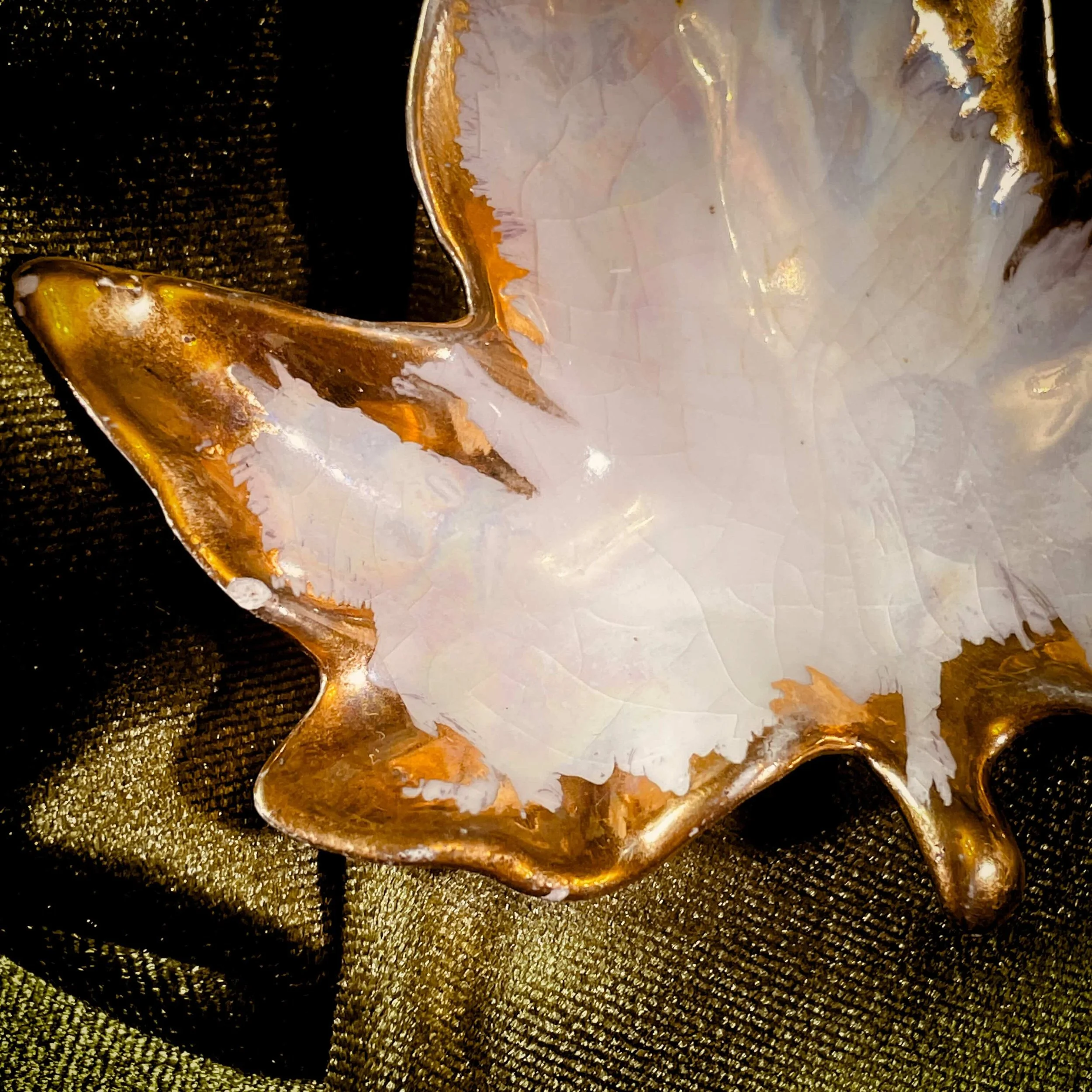 Leaf Tray and Lab Snake 13.jpg