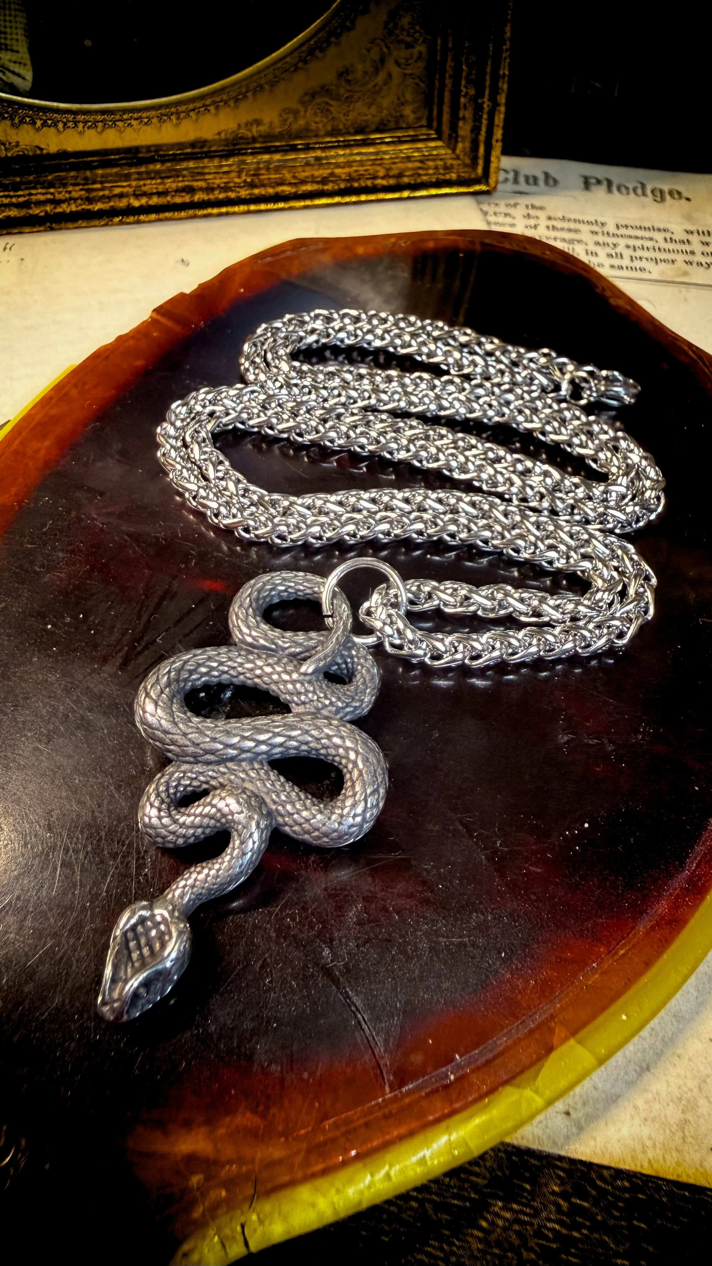 Silver Snake Necklace 17.jpg