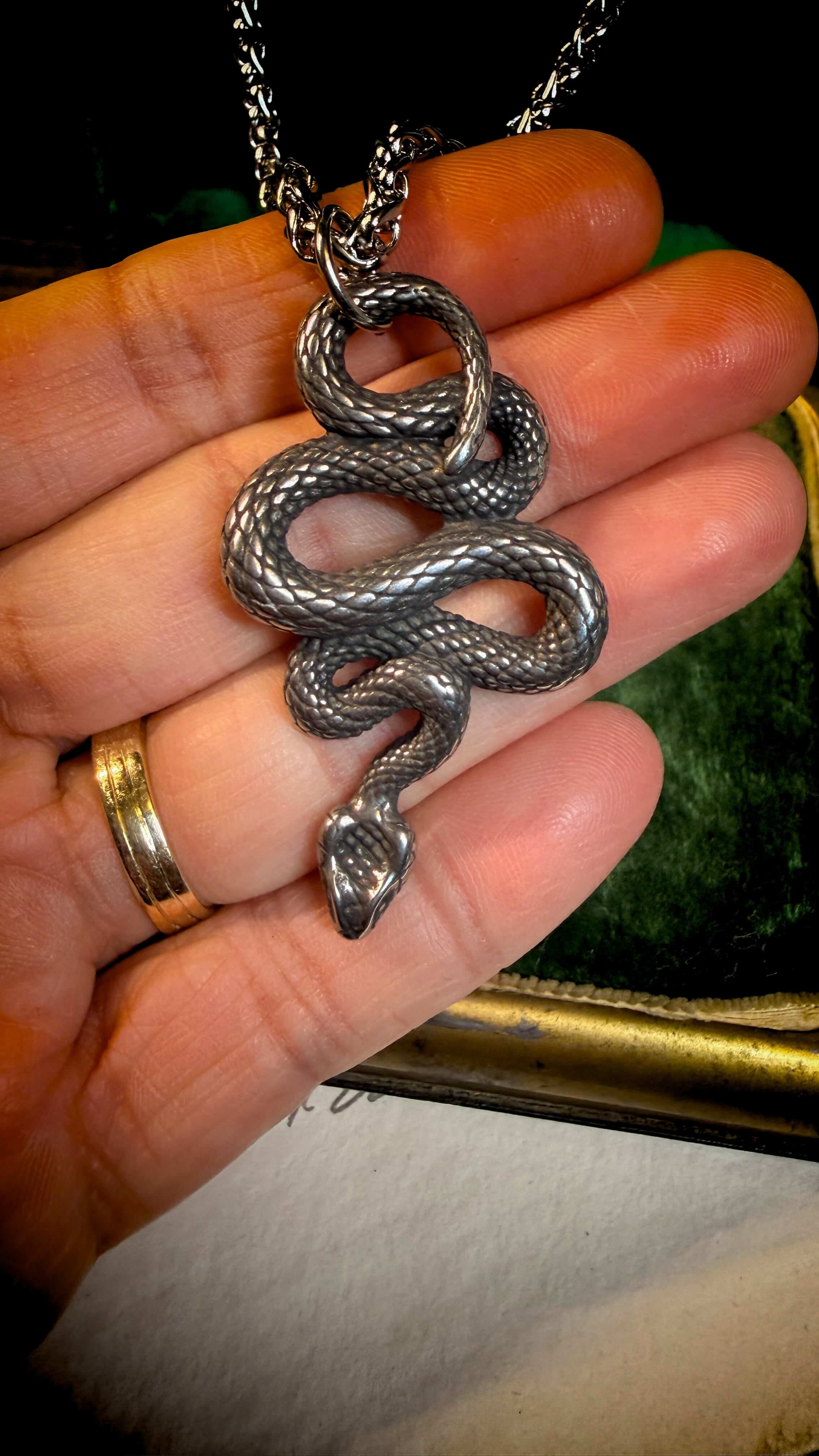 Silver Snake Necklace 9.jpg
