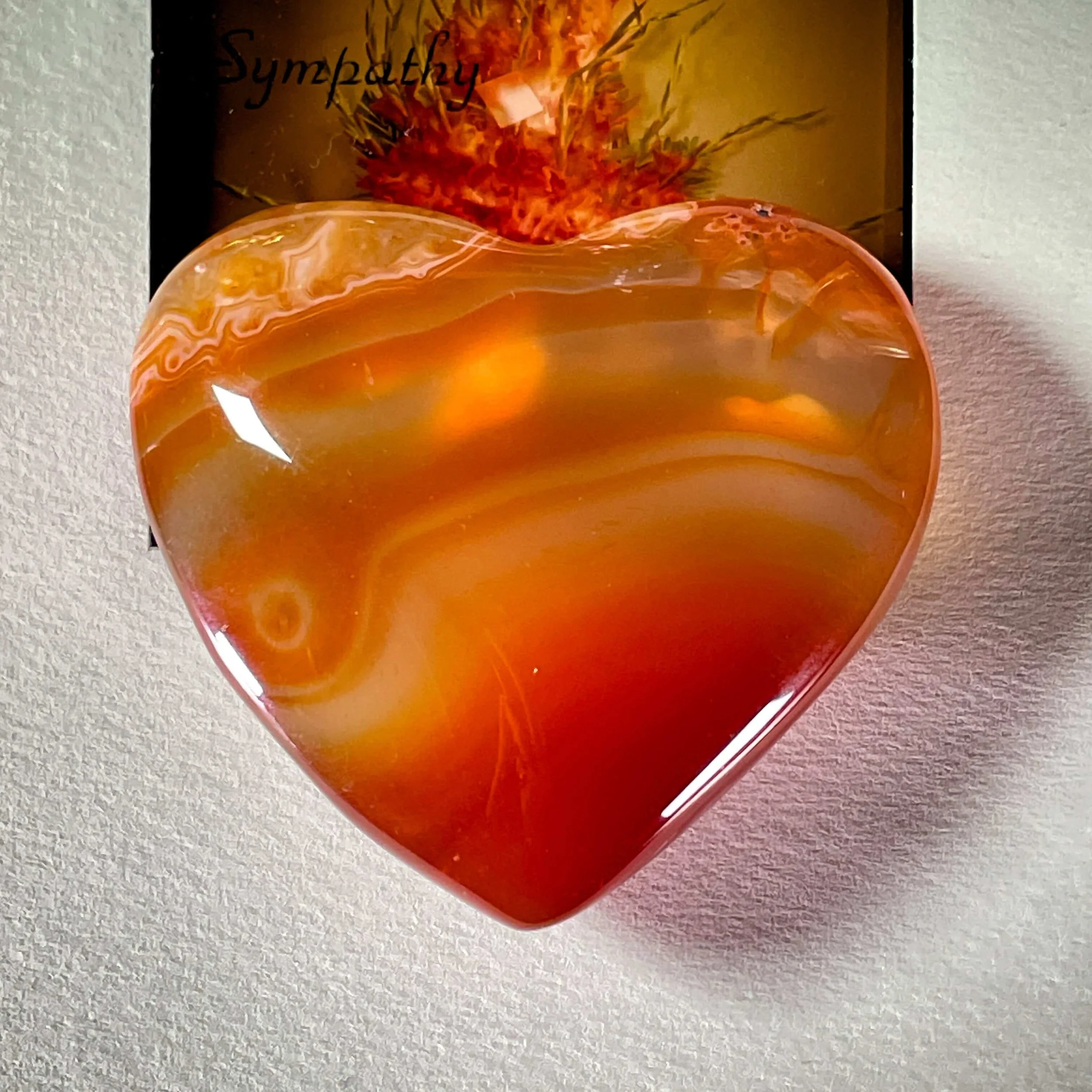 Carnelian Heart 6-2.jpg