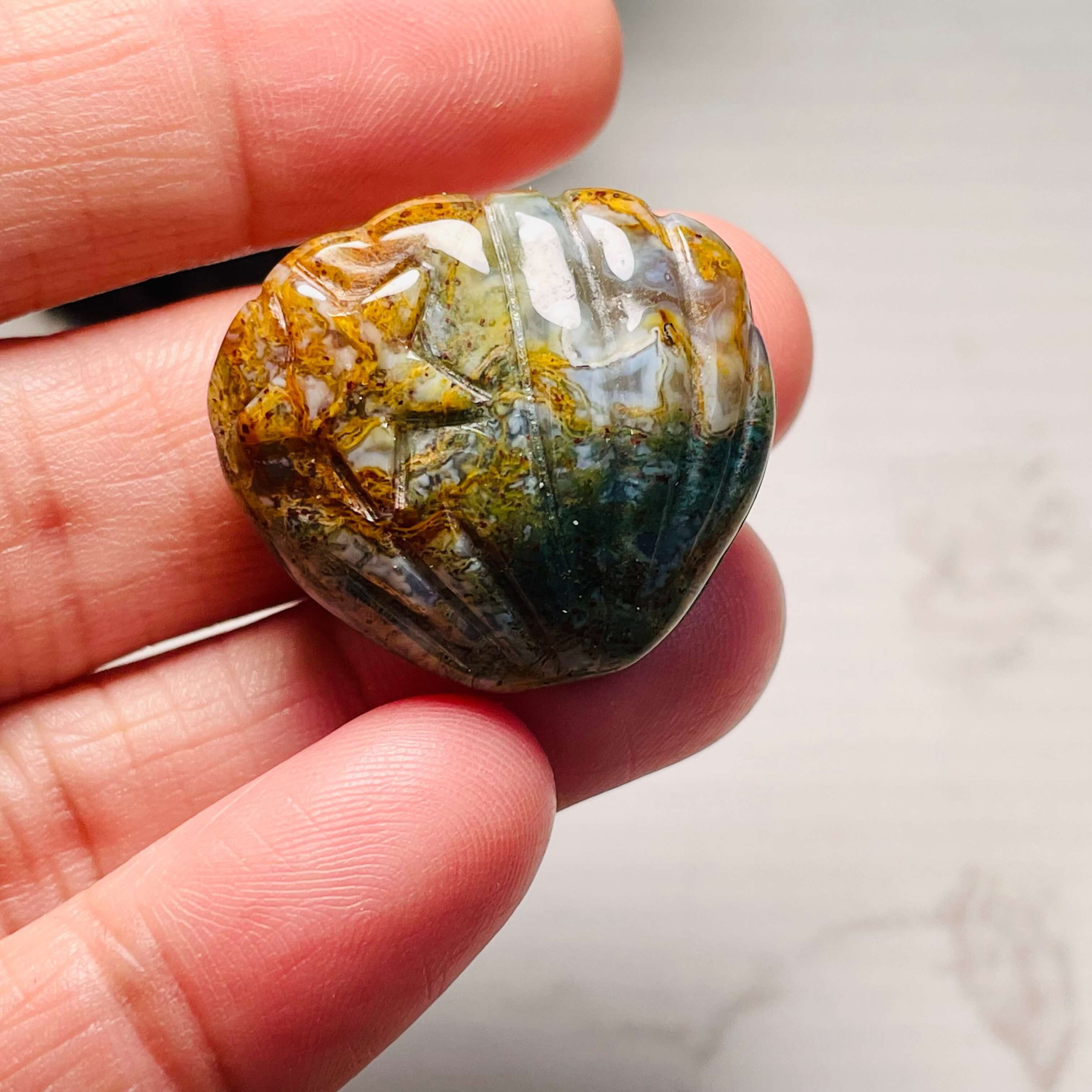 Ocean Jasper Shell 1(1).jpeg