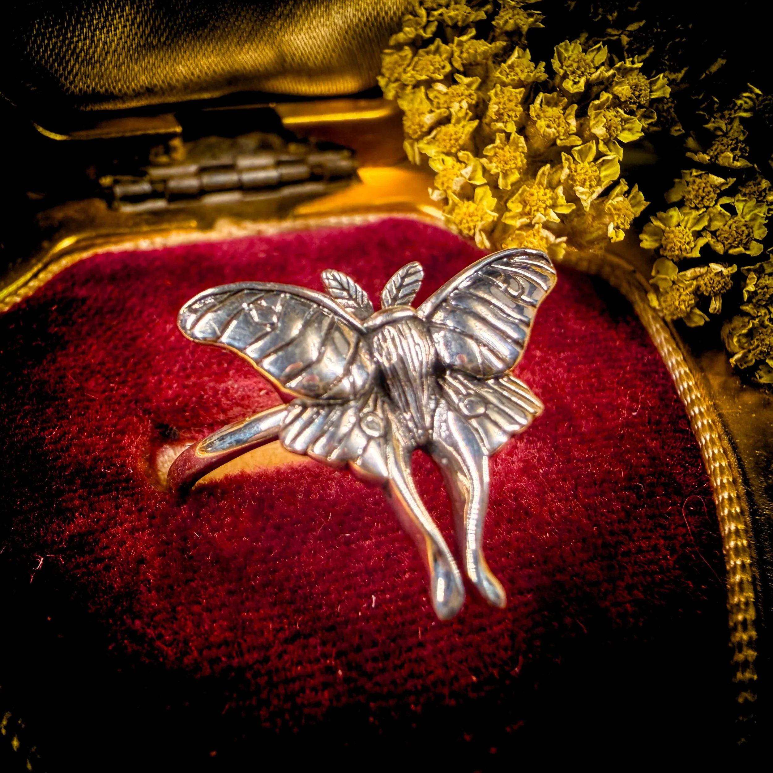 Moon Moth SS  2.jpg