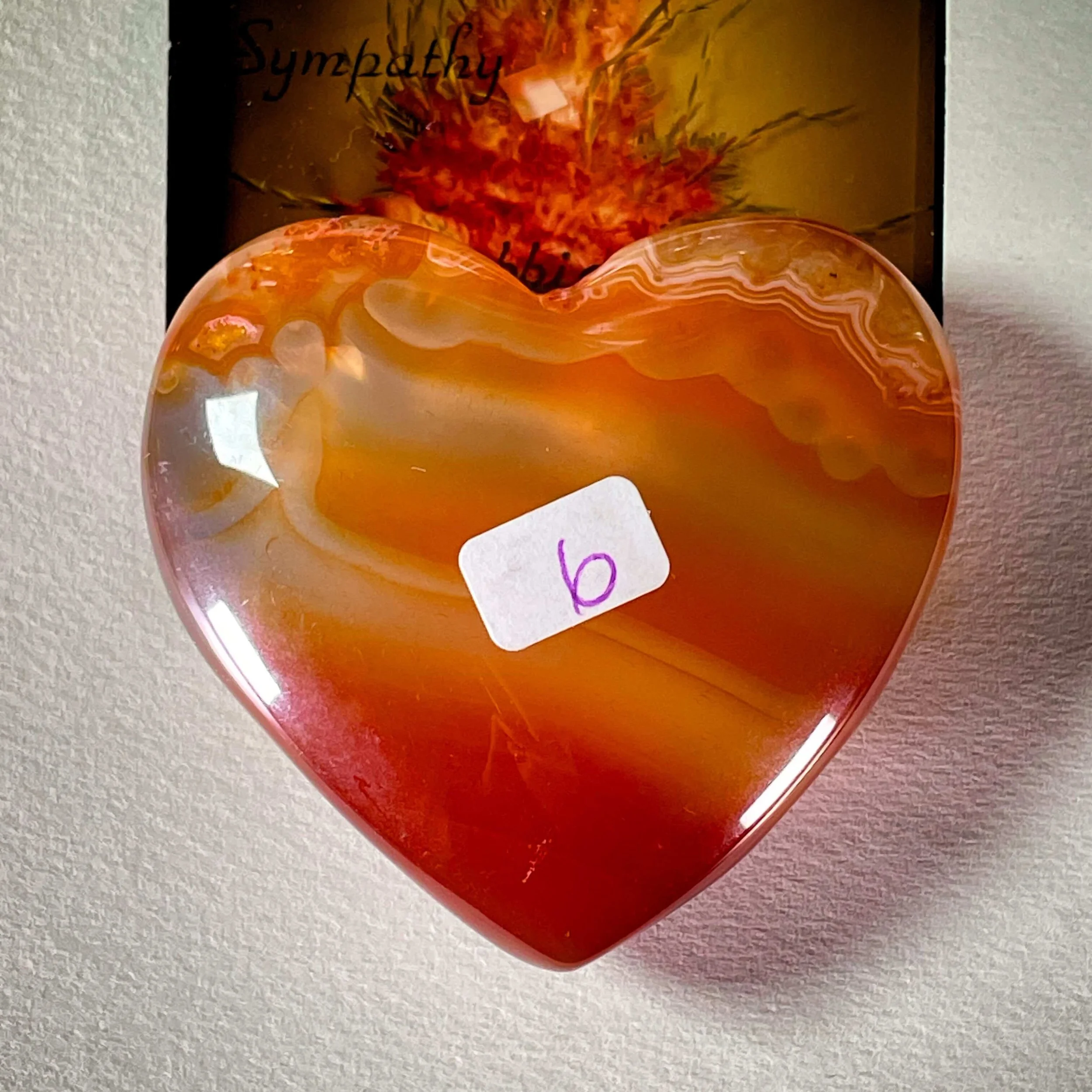 Carnelian Heart 6-1.jpg