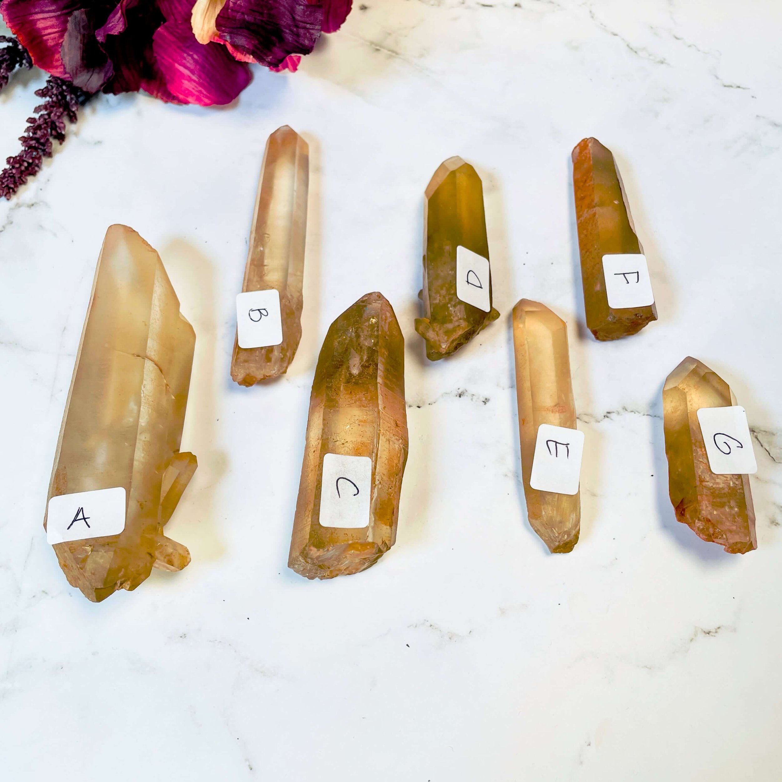 Congo Citrine Points 6(1).jpg