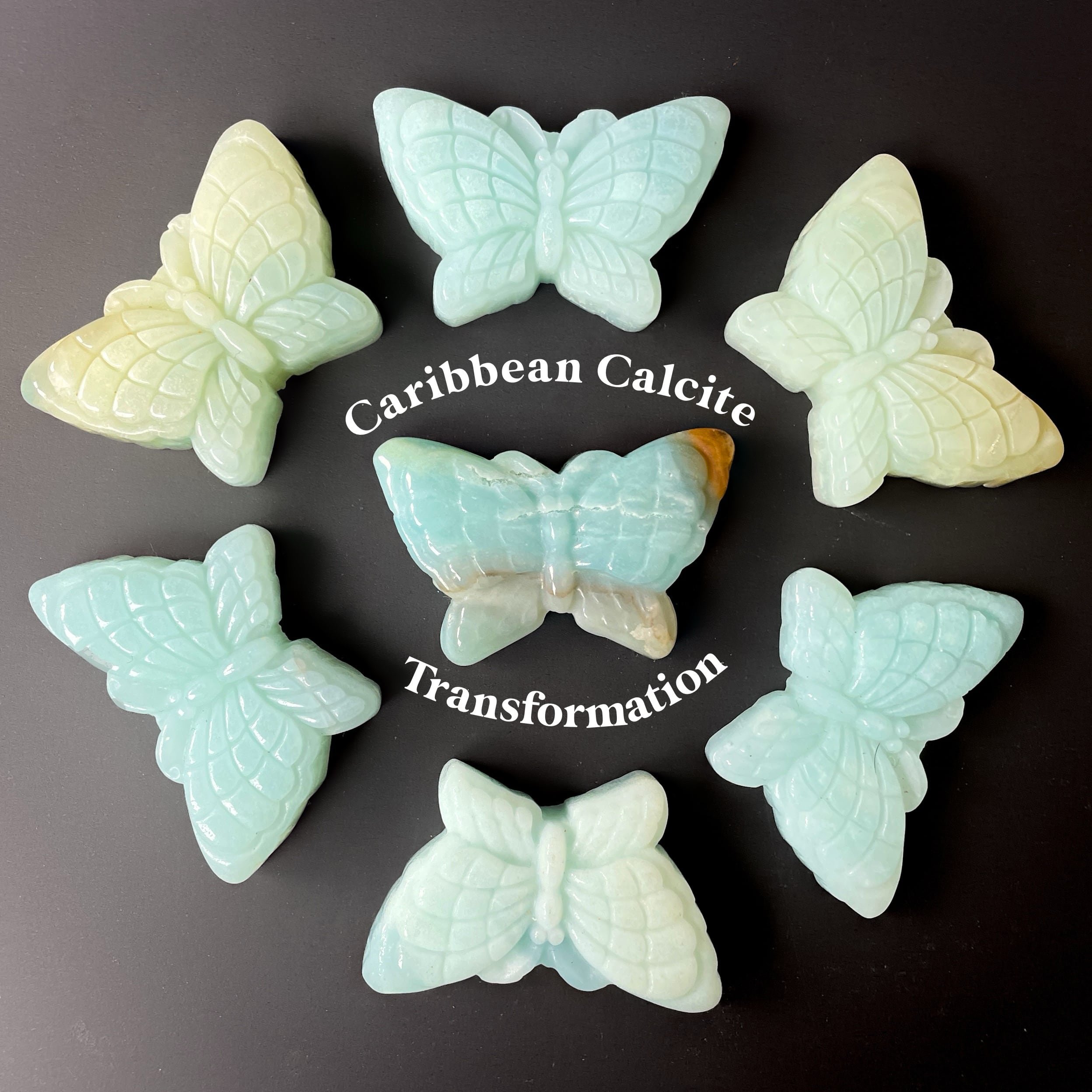 Caribbean Calcite Butterfly for Transformation, Inner Peace, and Intuitive Awakening