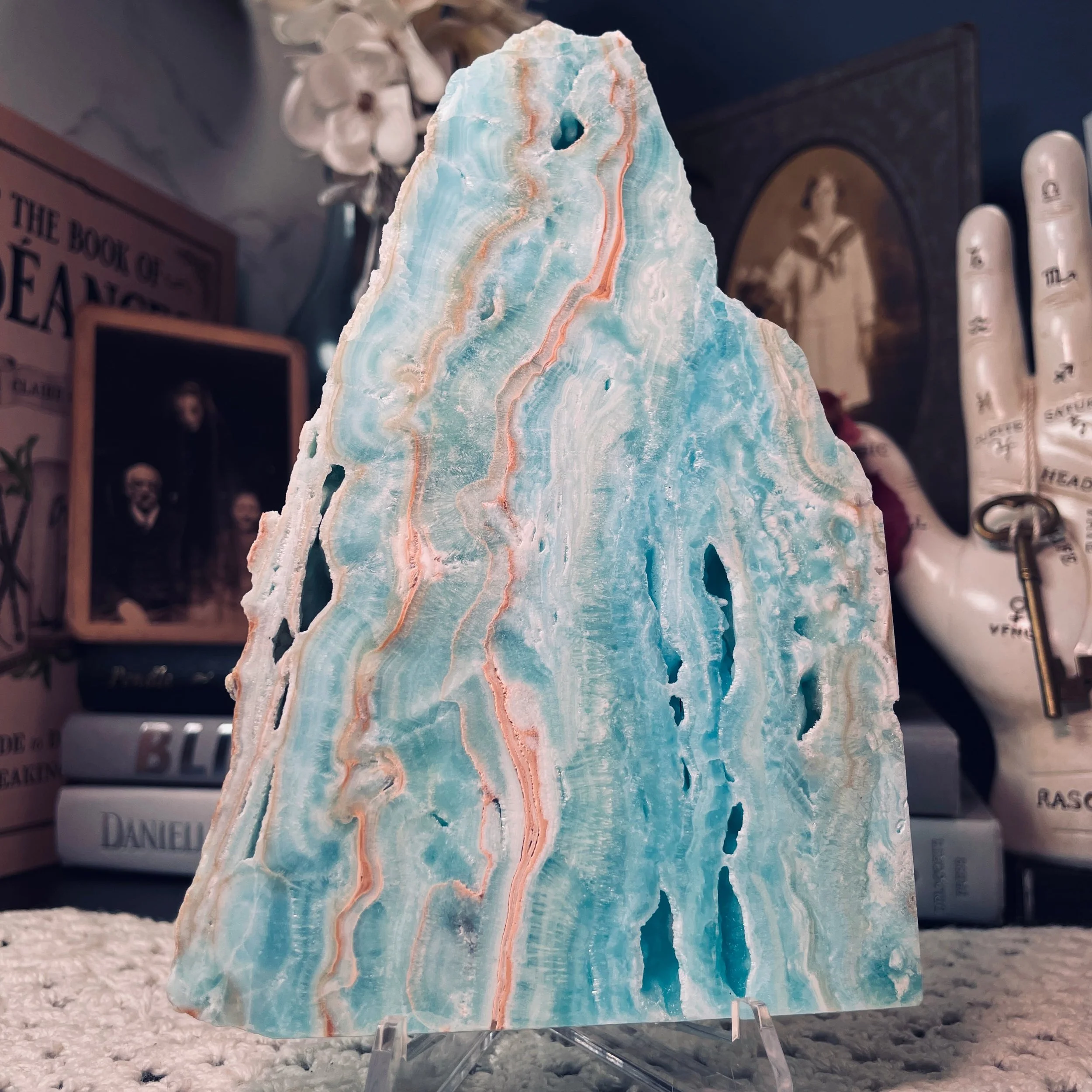 Caribbean Calcite Plate 3.jpg