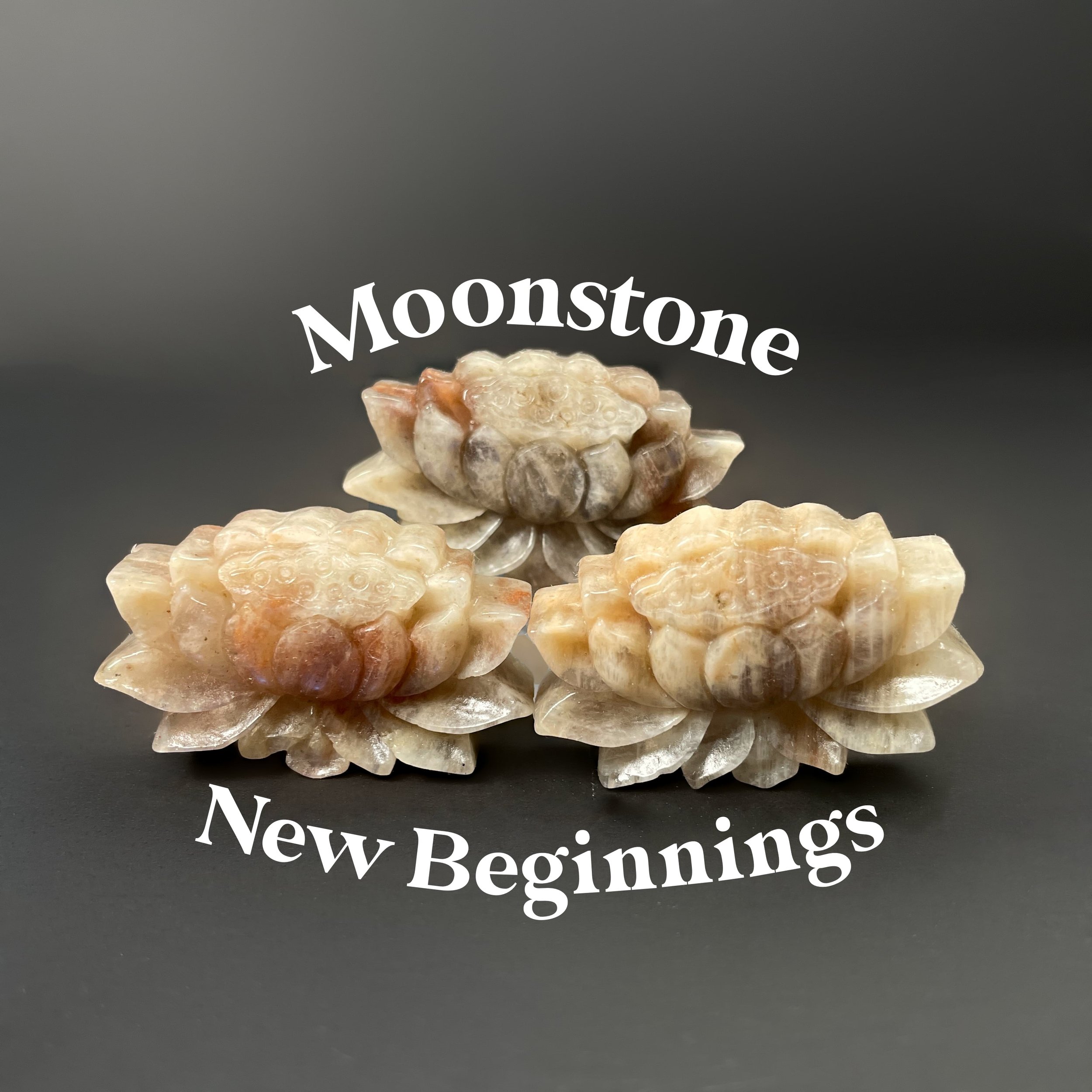 Moonstone Lotus.jpg