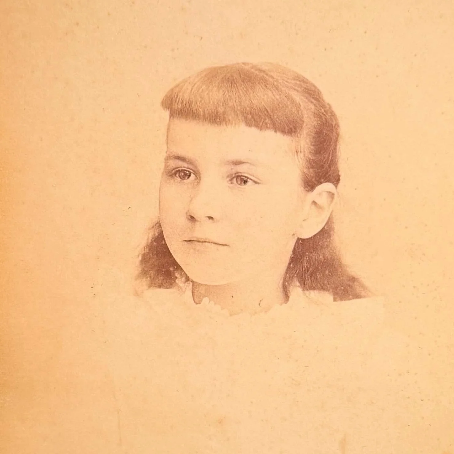 Adopt the Victorian Nellie She Would Like to Speak to Your Mother