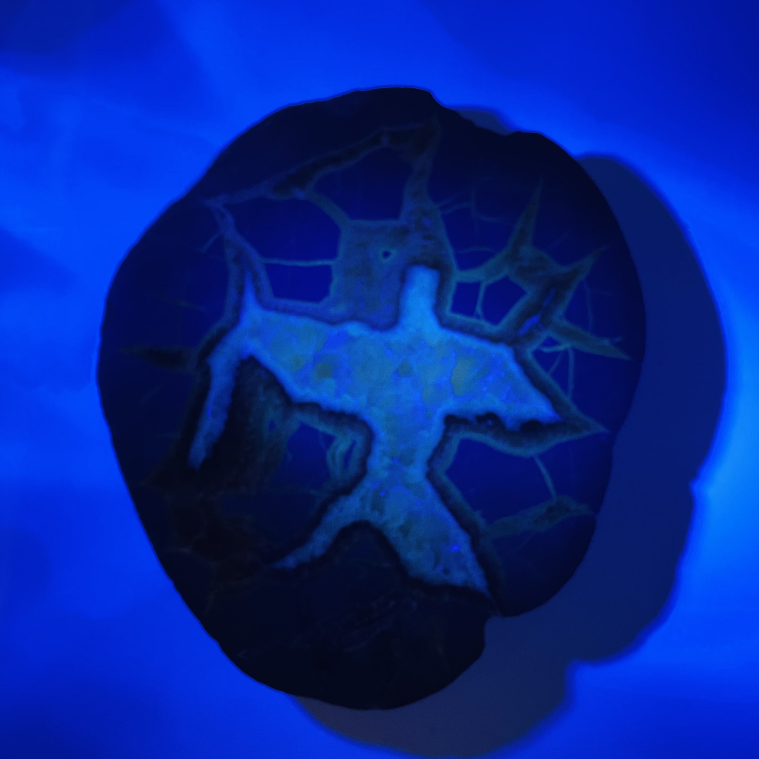 Septarian Plate 1.jpg