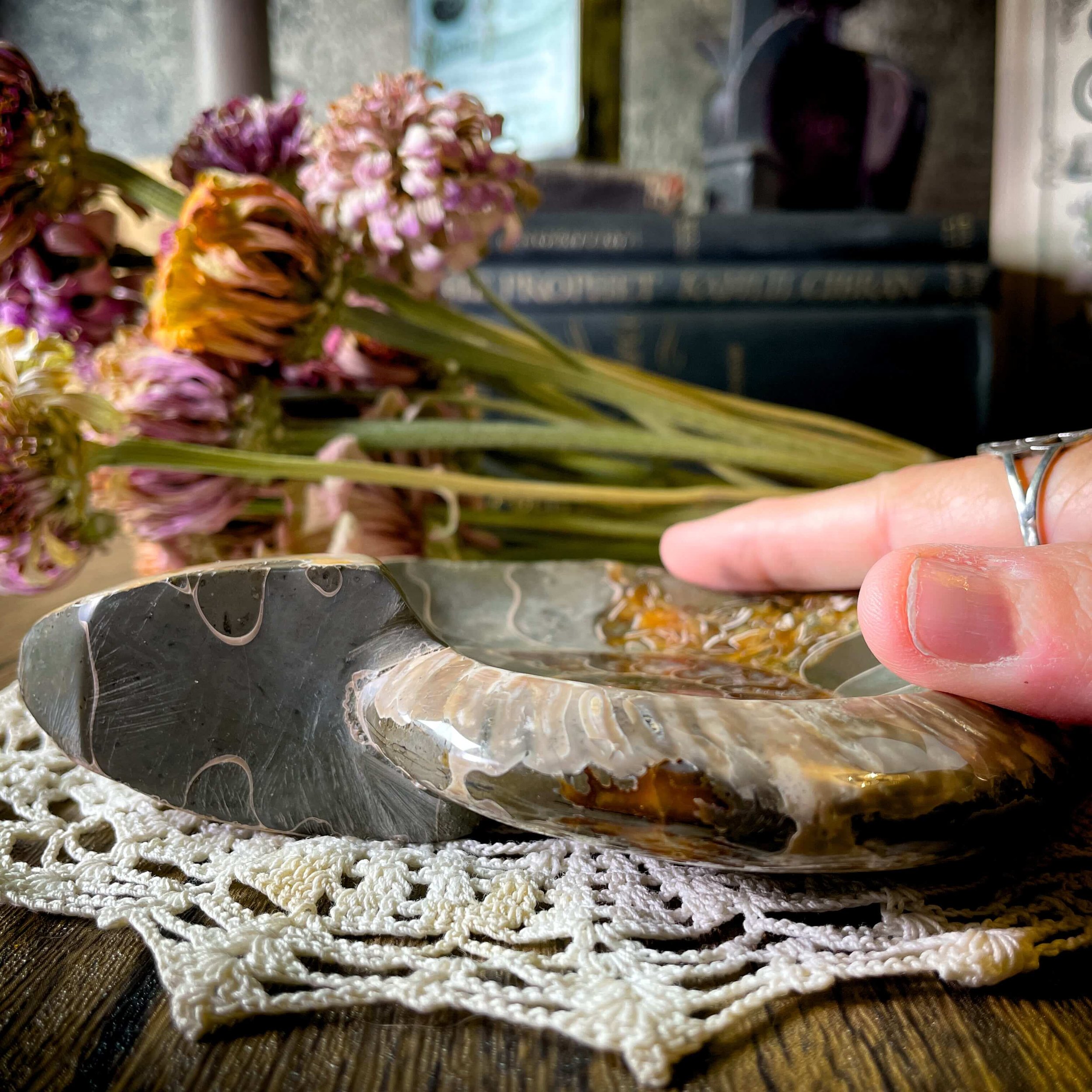 Ammonite Bowl 13(1).jpg