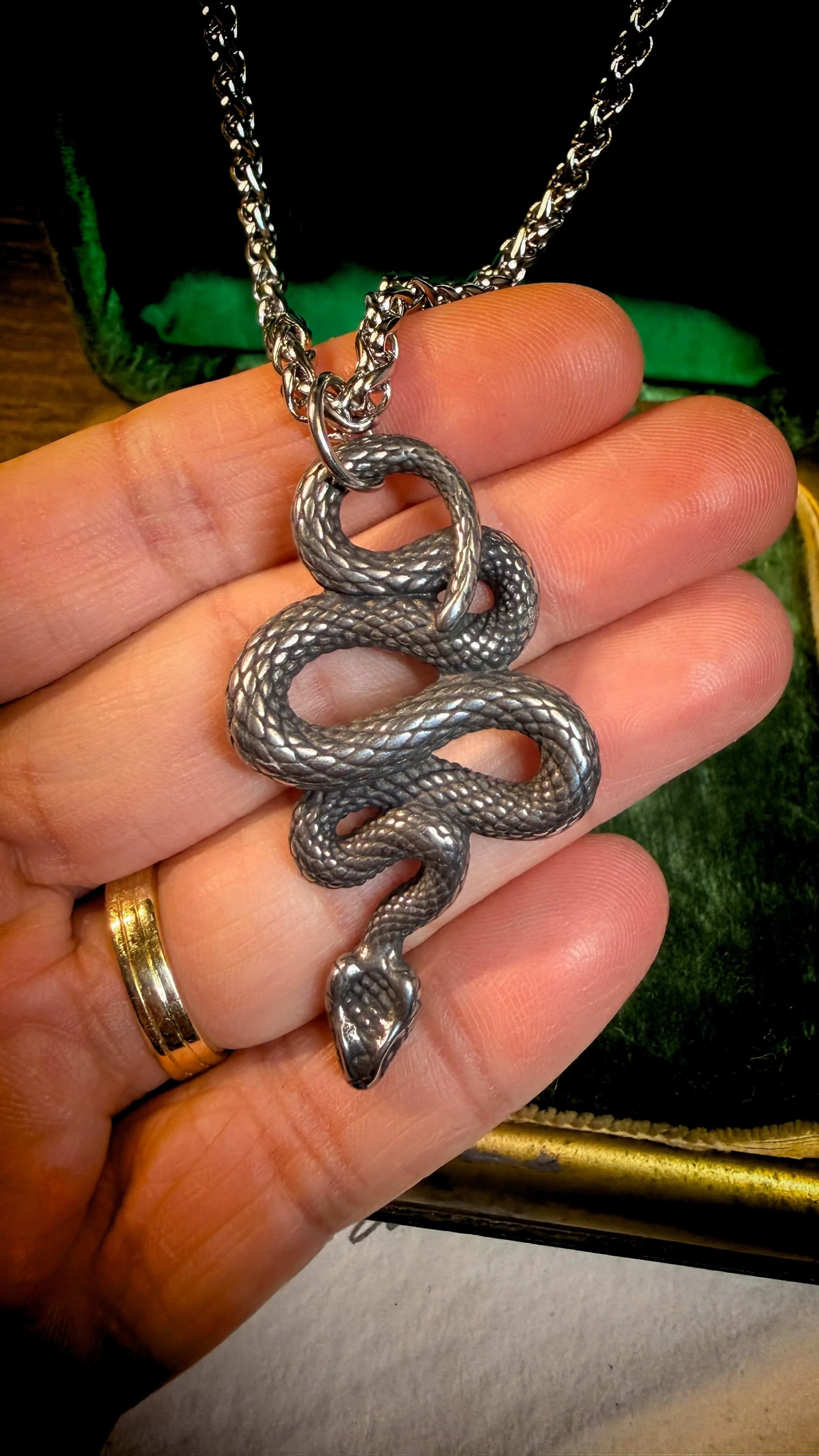 Silver Snake Necklace 8.jpg