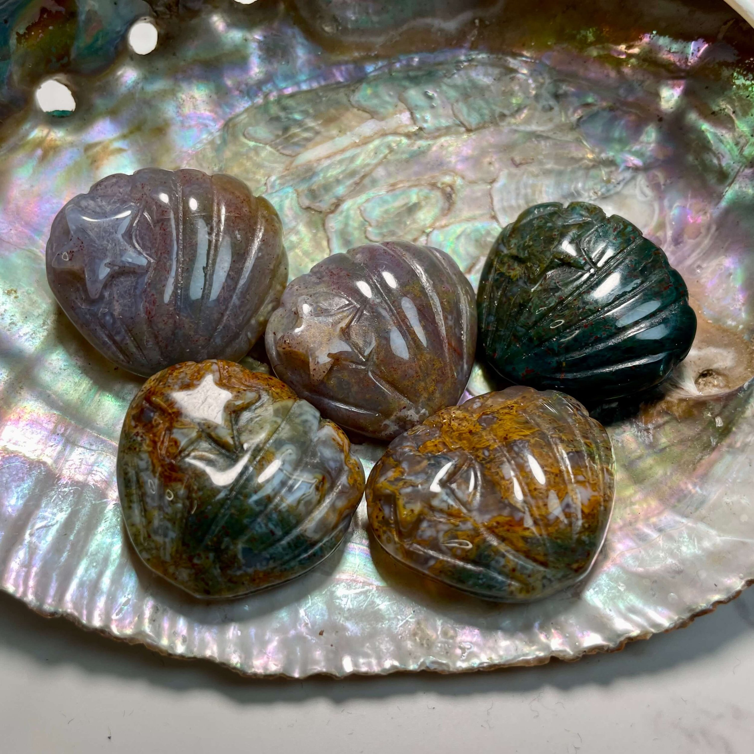Ocean Jasper Shell 2(1).jpeg