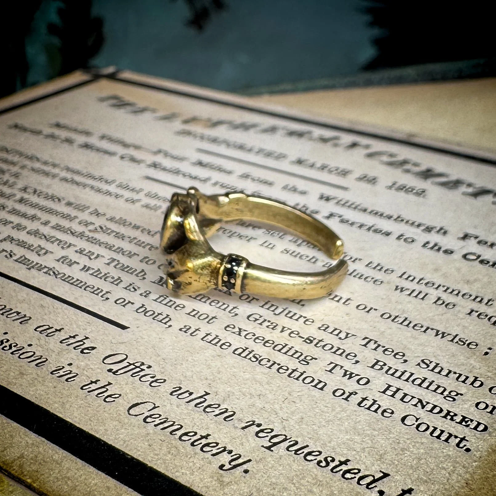 ADJ Hands Vic Ring 5.jpg