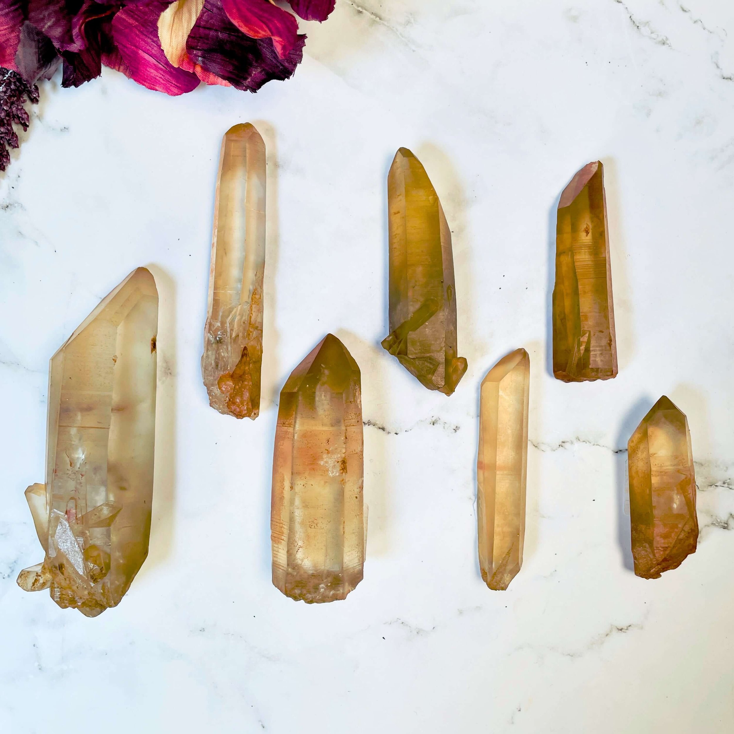 Congo Citrine Points 2(1).jpg