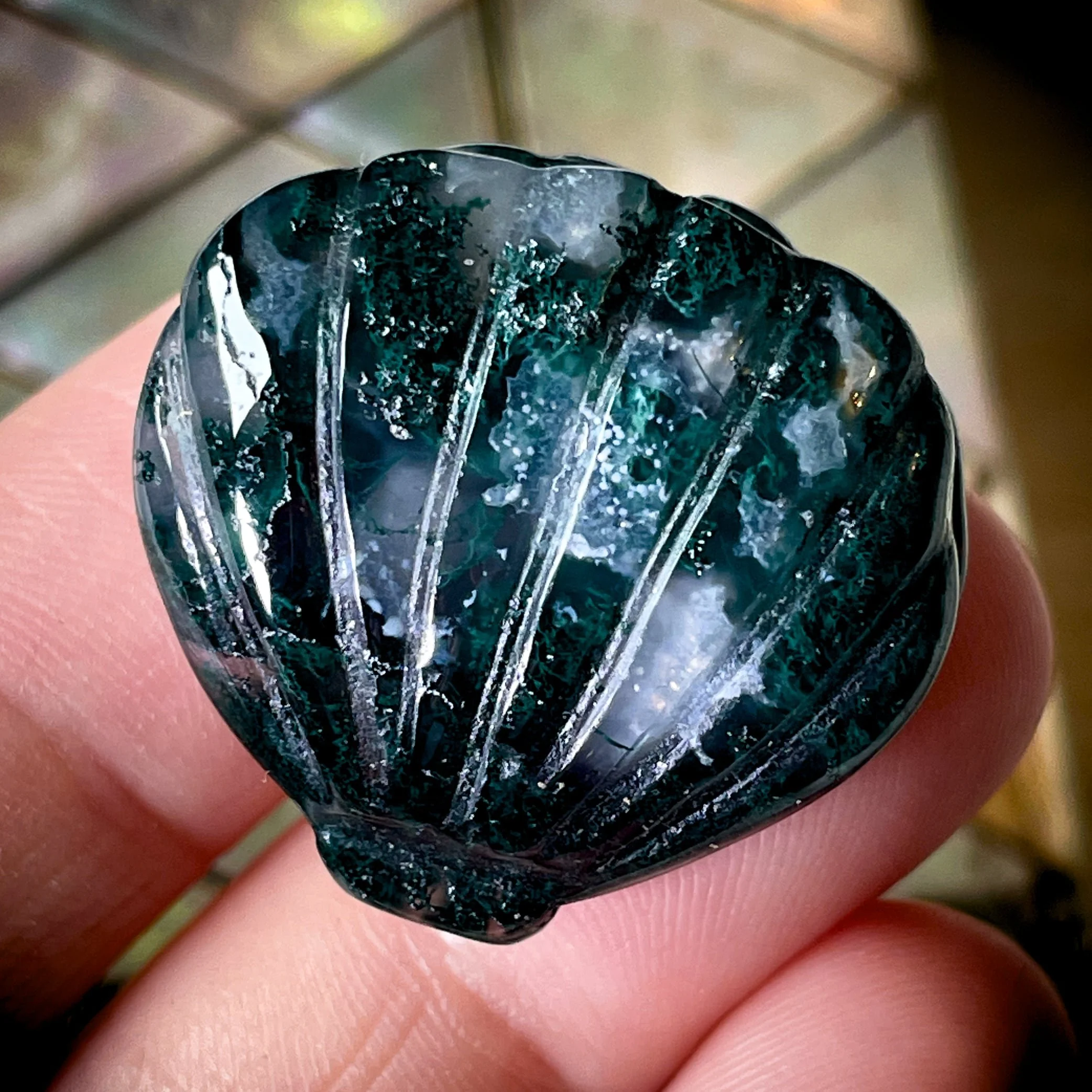 Moss Agate Shell โ Growth, Protection & Oceanic Wisdom