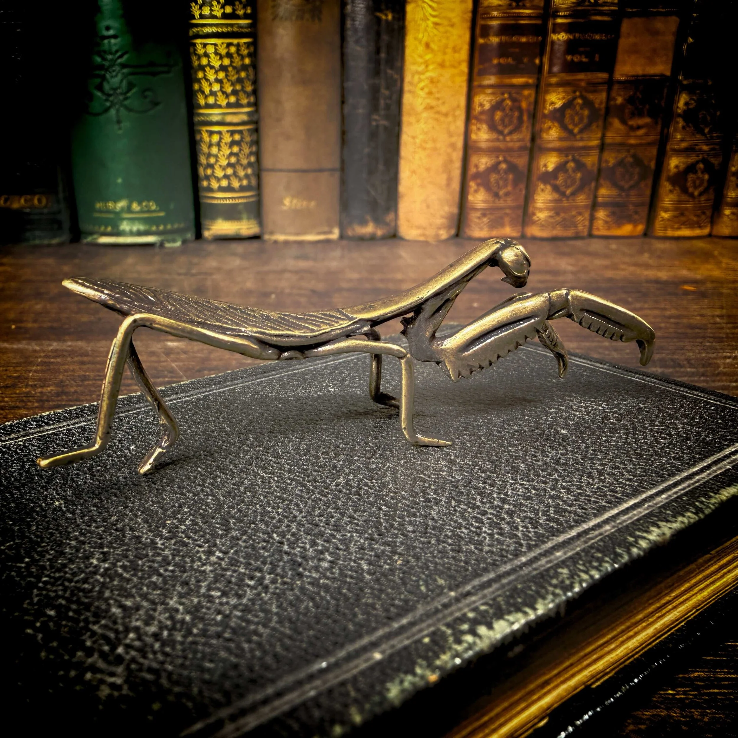 Brass grasshopper decor 1.jpg