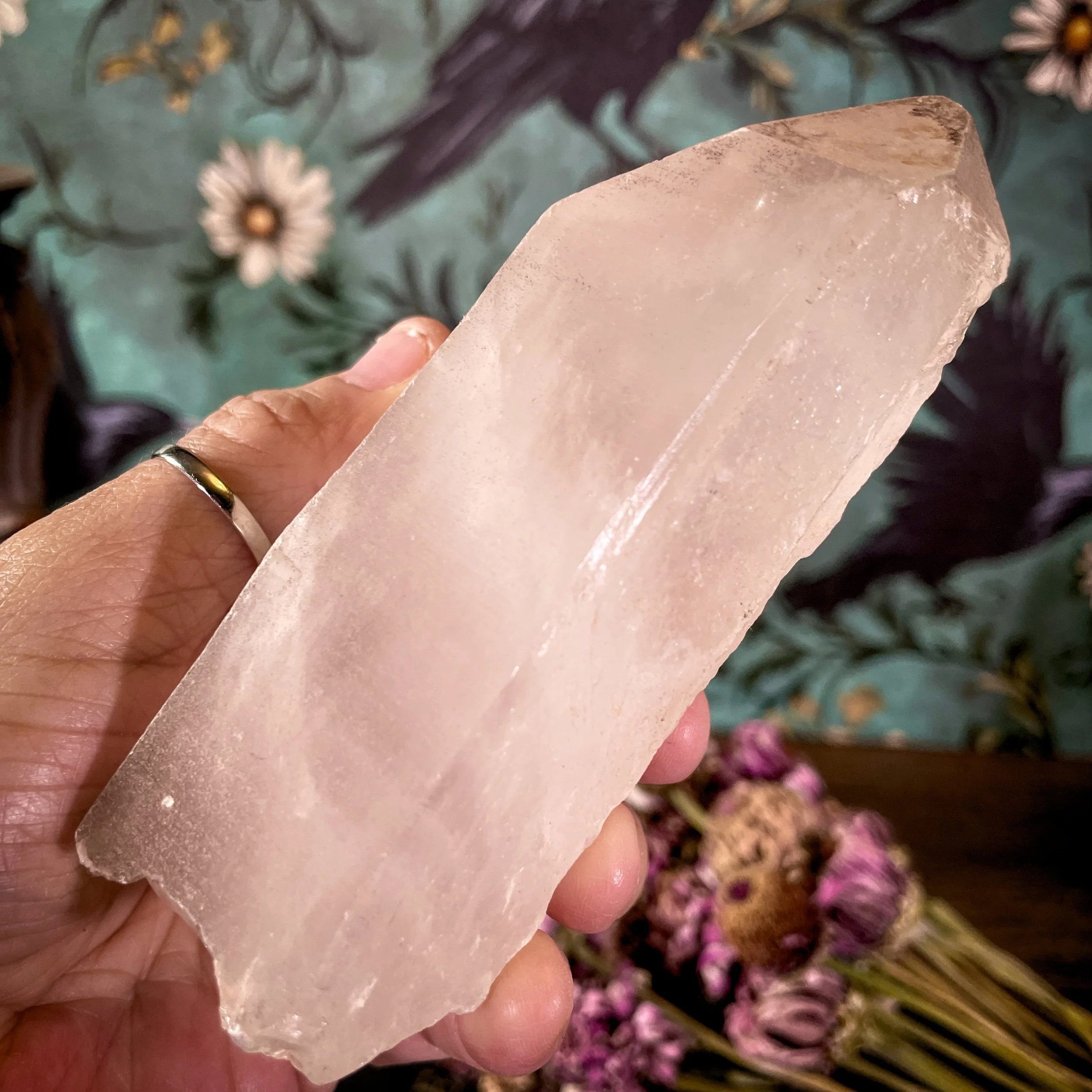Lemurian Quartz Point 7.jpg