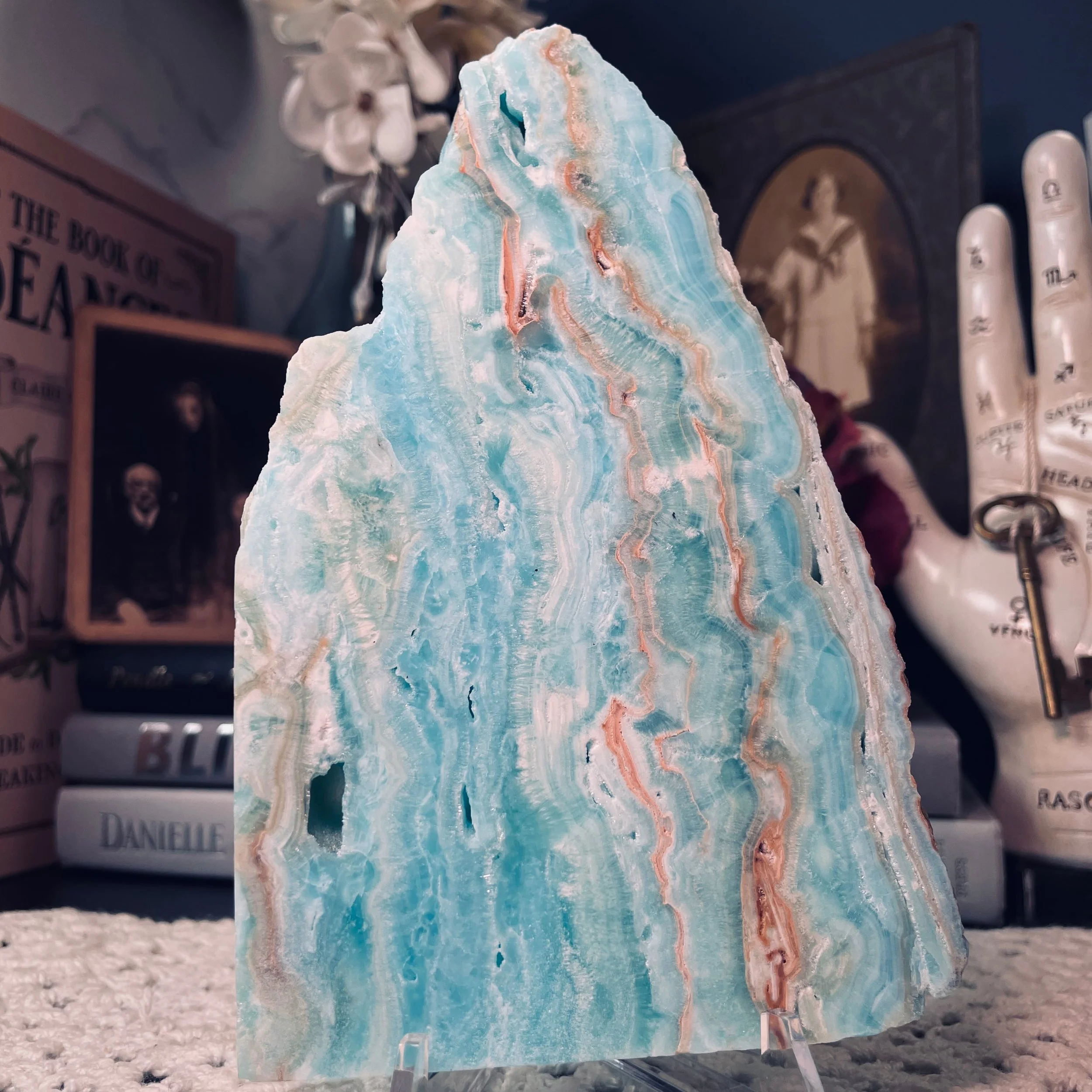 Caribbean Calcite Plate 2.jpg