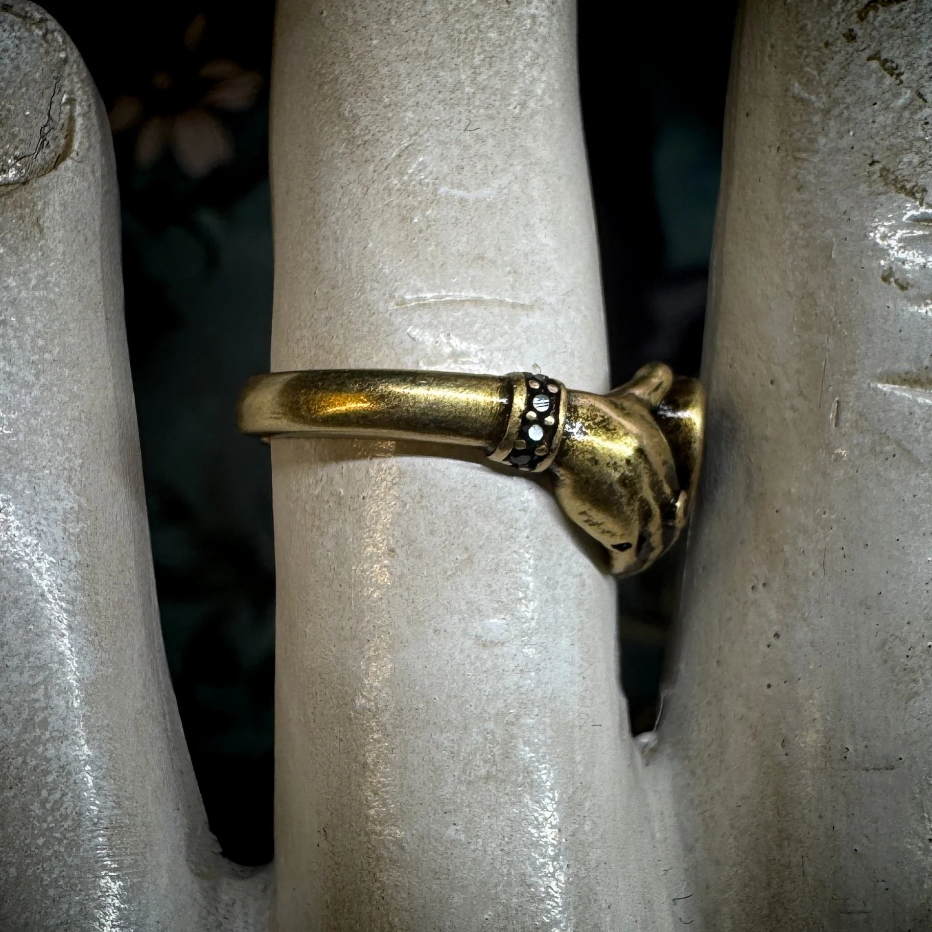 ADJ Hands Vic Ring 1.jpg